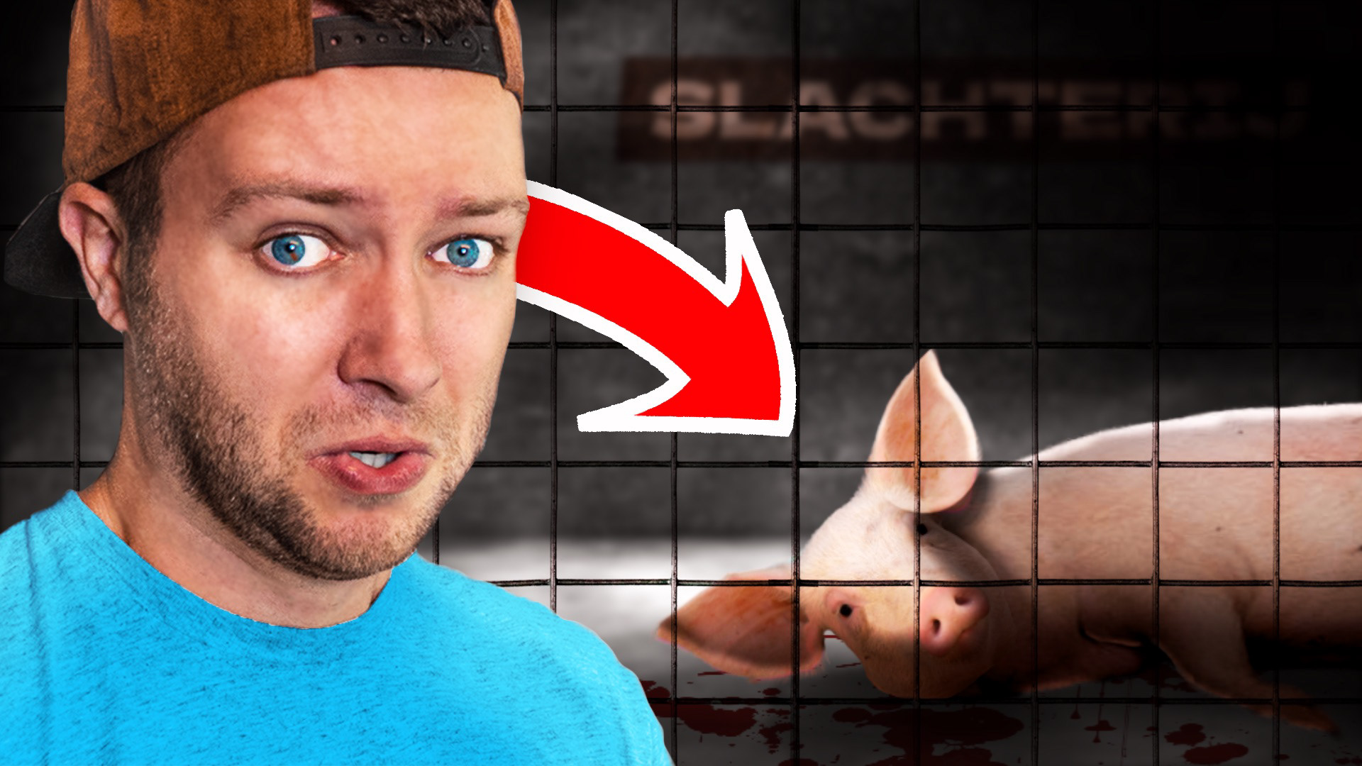 "Ik vond een Verlaten Varkens SLACHTHUIS! *In België*"