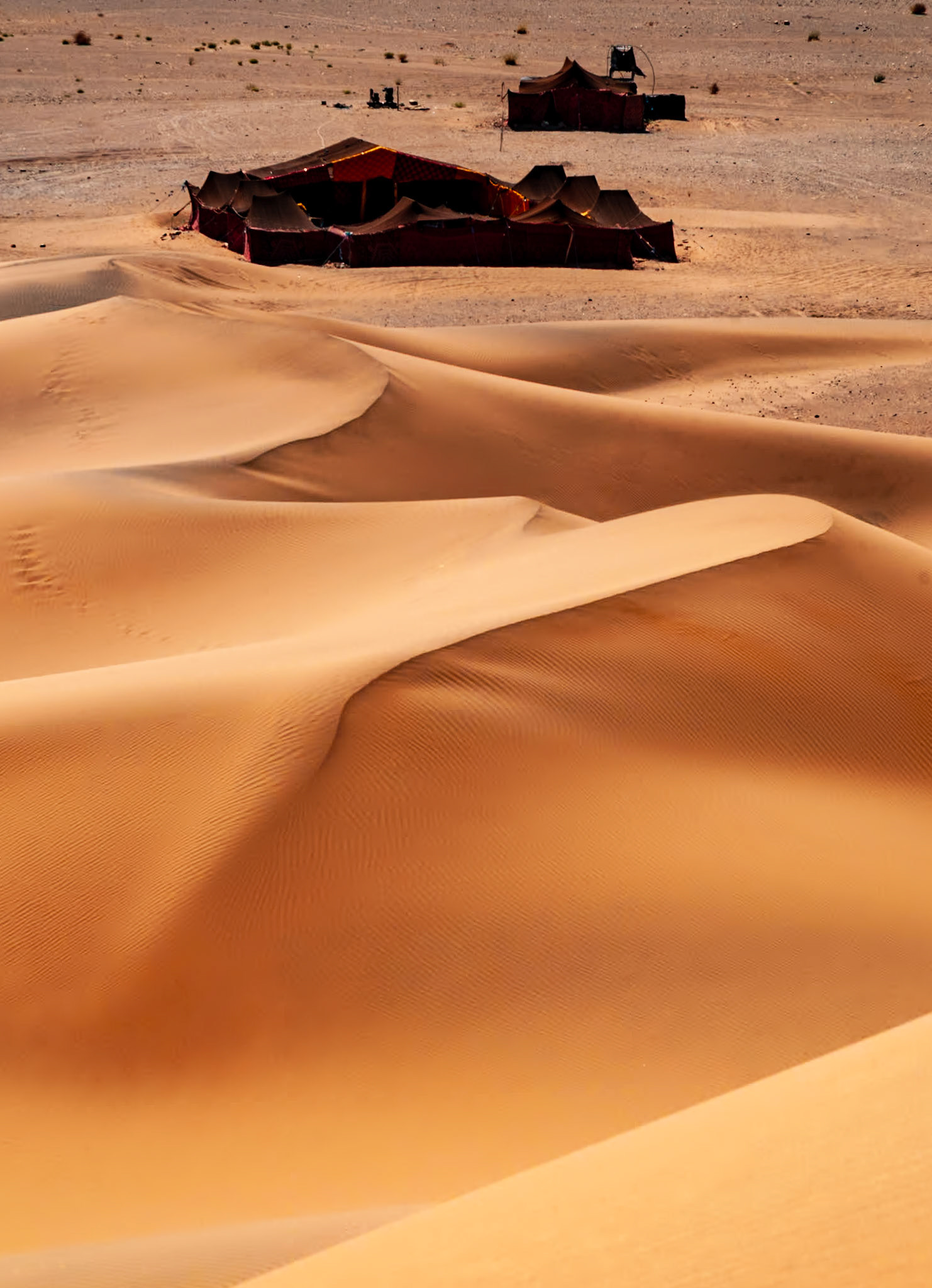 The shifting dunes of the Sahara Desert are home to the Sahrawi people of Western Sahara. This nomadic people's culture is a mixture of Arab, Berber and Sahel. Despite Moroccan persecution, many Sahrawi still operate traditional camel caravans across the scorching  sands.