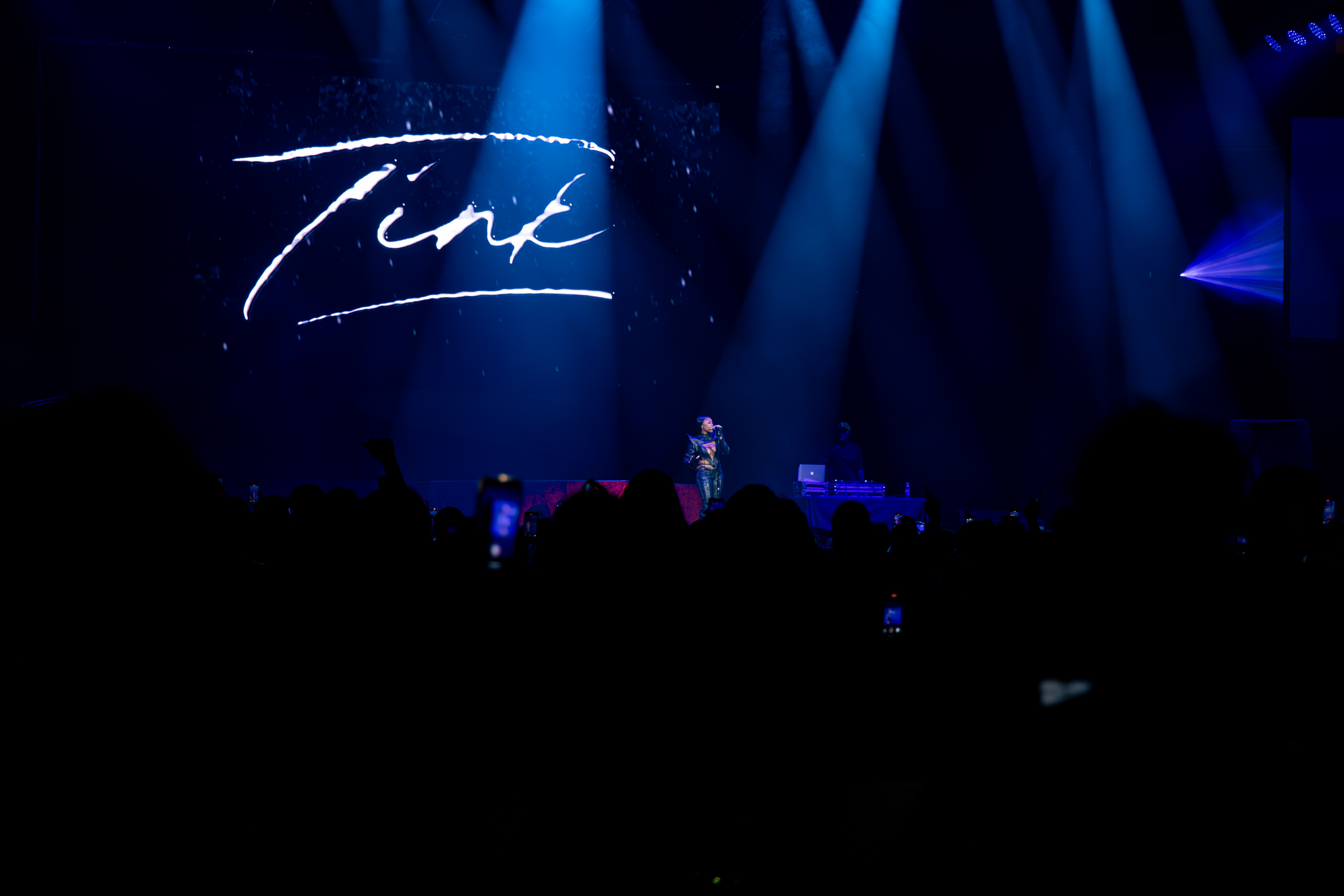 World renowned artist "Tink"