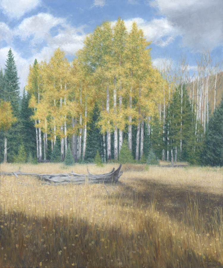 Rocky Mountain Meadow • 20" x 24"