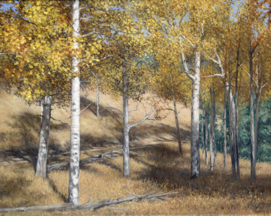 Aspens & Shadows • 16” x 20”