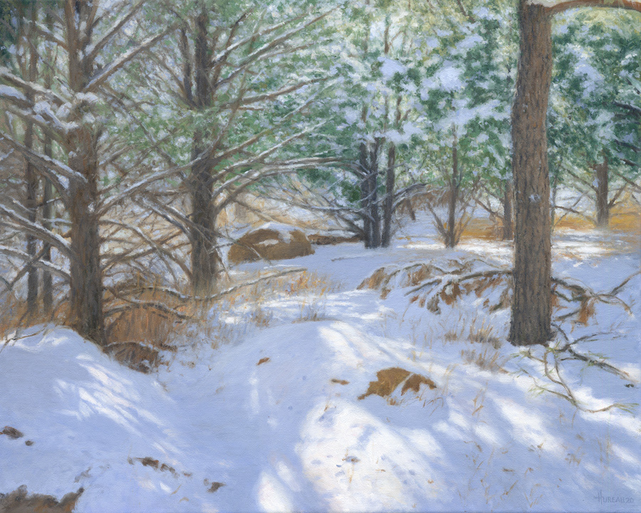 Winter's Light • 16" x 20"