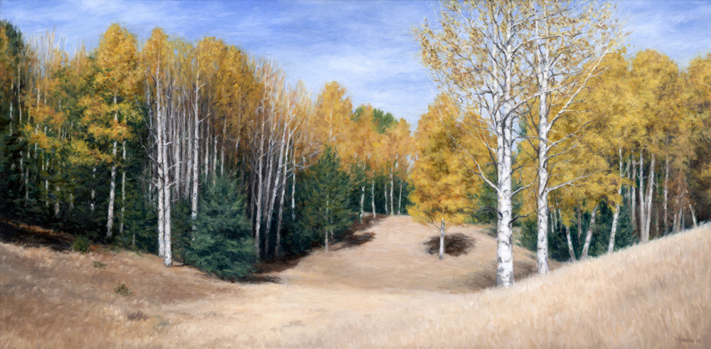 Aspen Ridge • 15” x 30”
