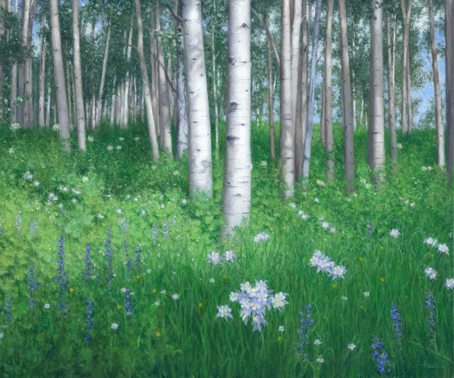 Aspens & Columbines • 20” x 24”