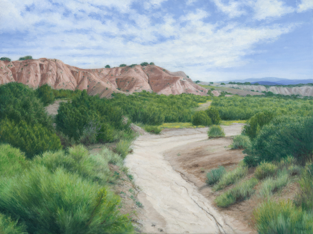 New Mexico Dry River Bed • 18" x 24"