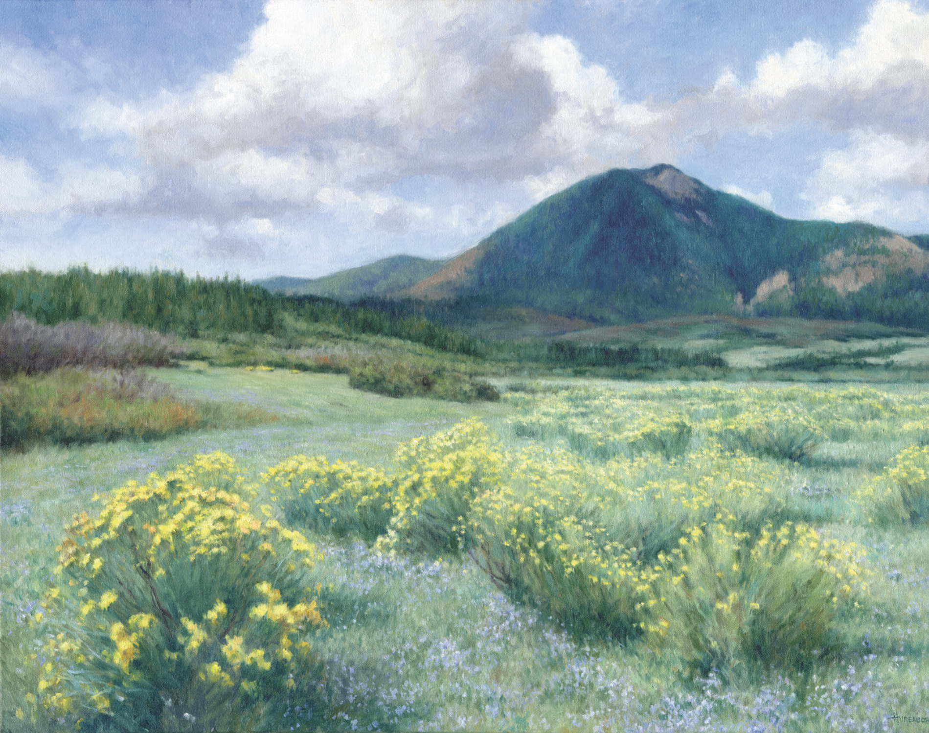 Rabbitbrush & Aster • 22" x 28"