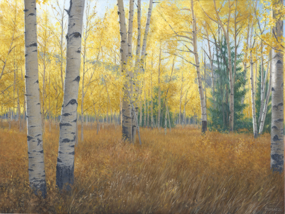 Evening Aspens (Sold) • 18" x 24"