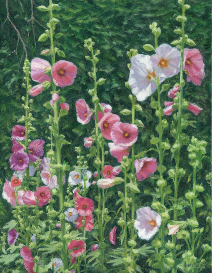 Hollyhocks • 14" x 18"