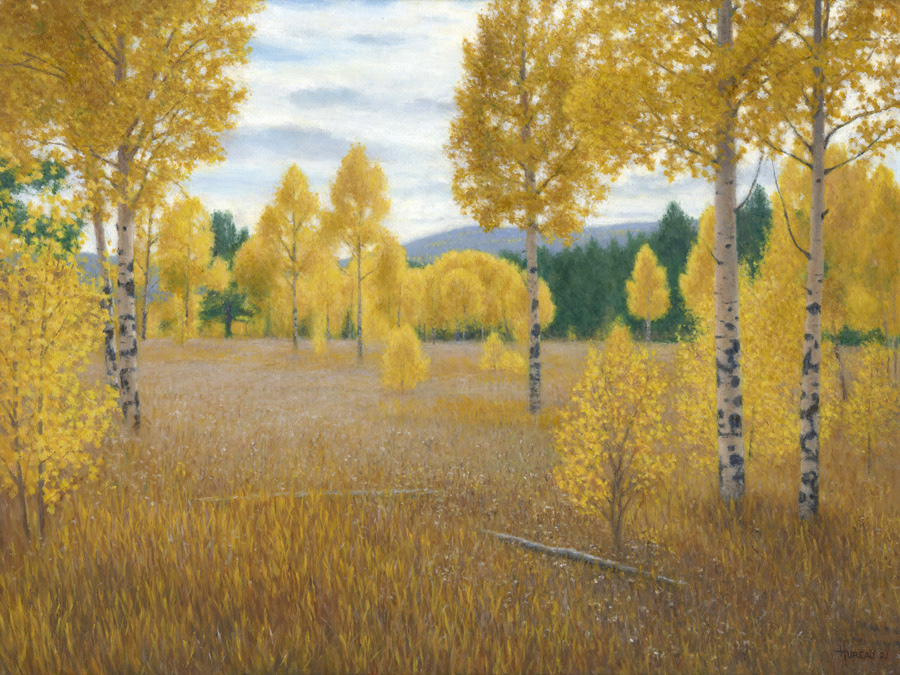 Aspens in the Afternoon • 18” x 24”