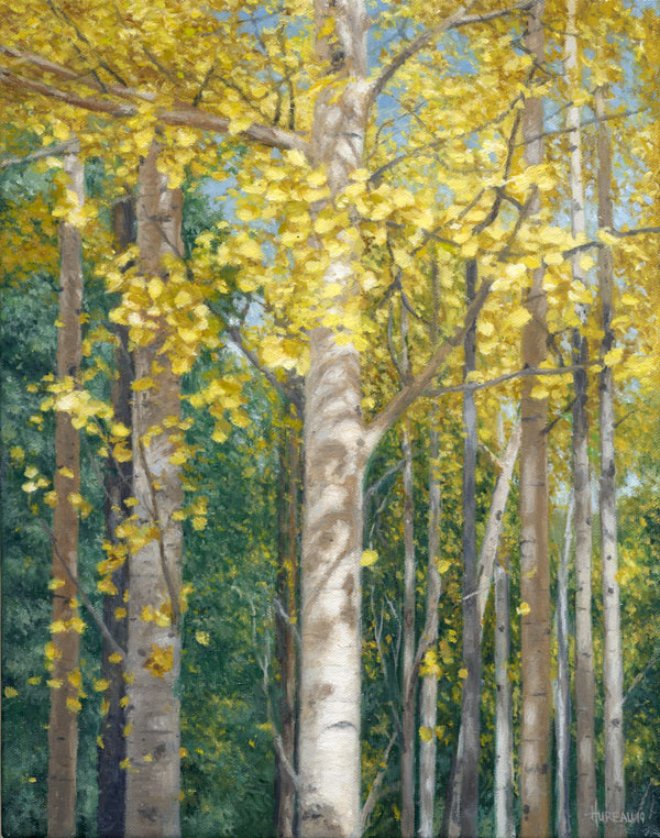 Aspen Study • 11” x 14”