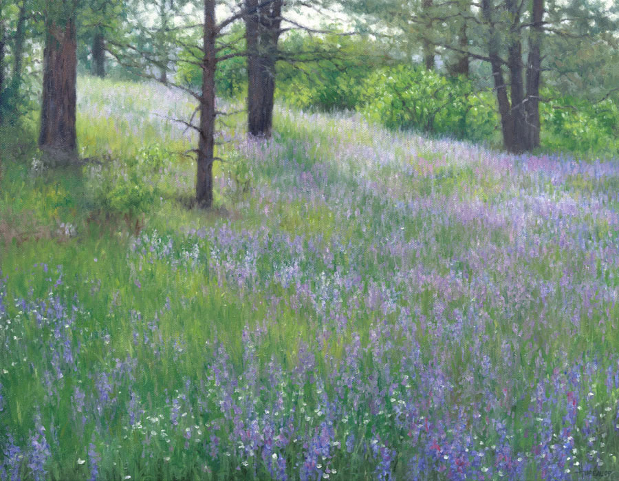 Purple Flowers and Evening Shadows (Sold) • 14" x 18"