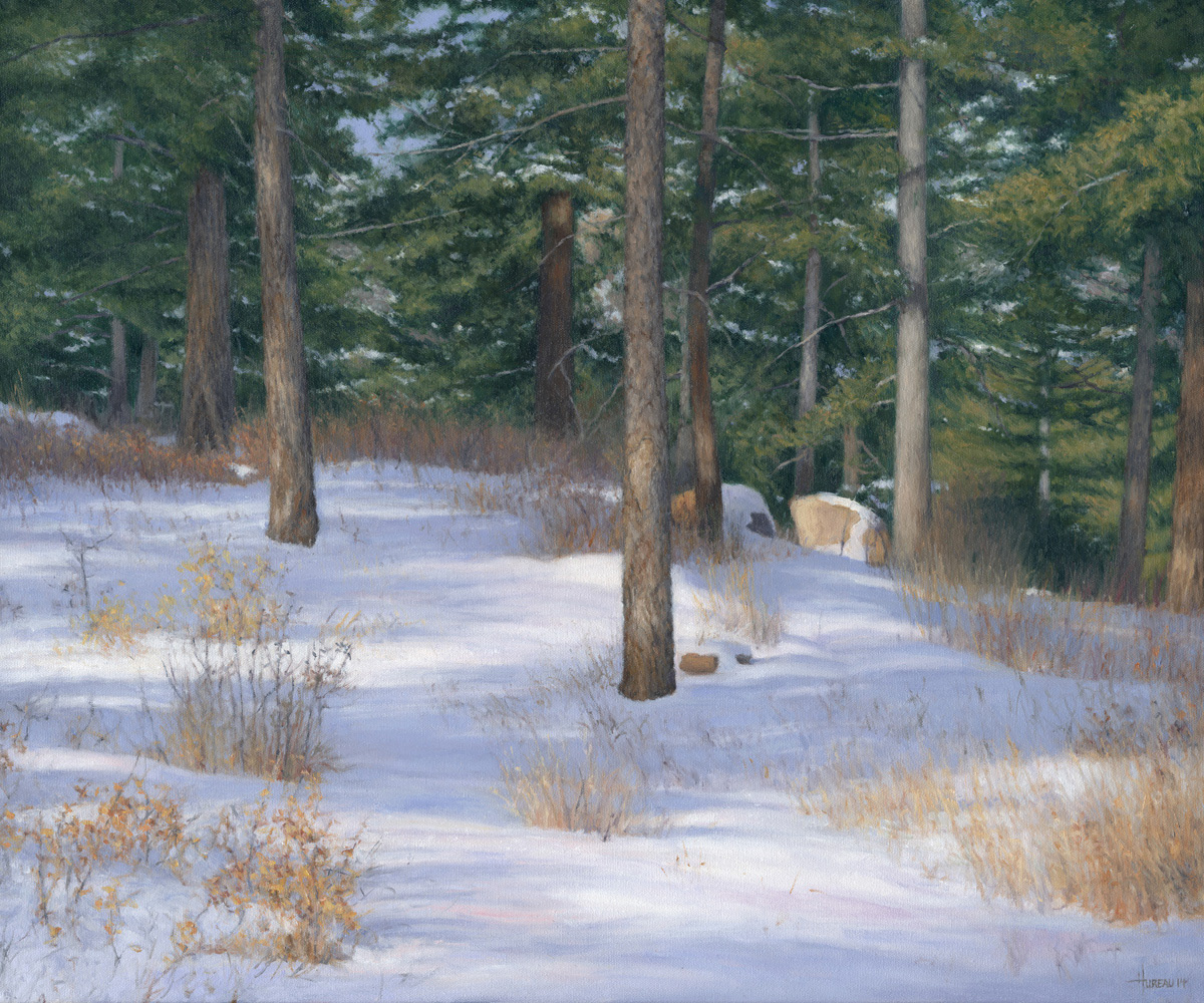 Winter Woods • 18" x 24"
