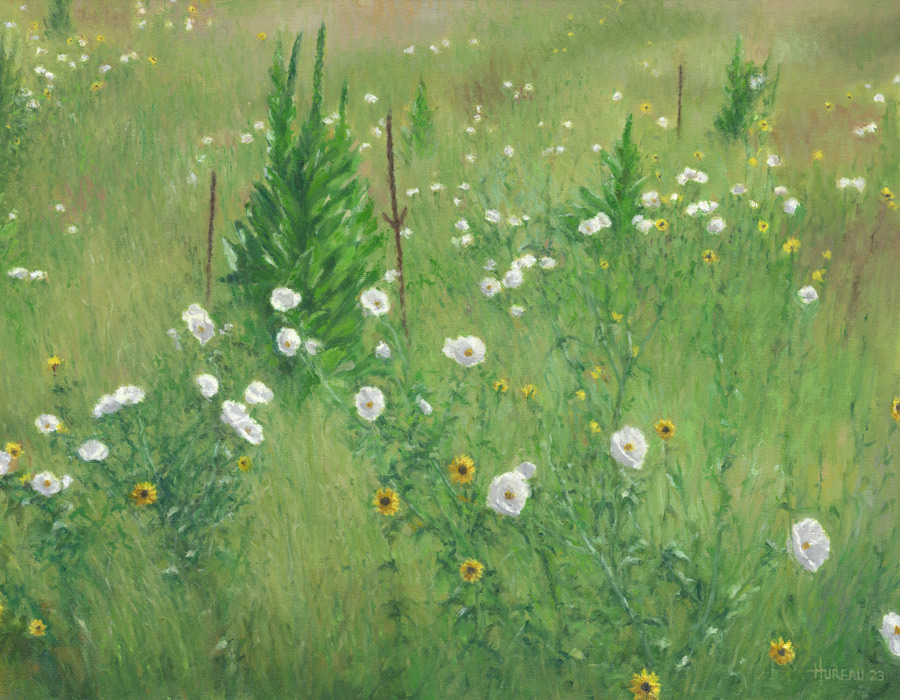 Prickley Poppies and Sunflowers • 14" x 18"