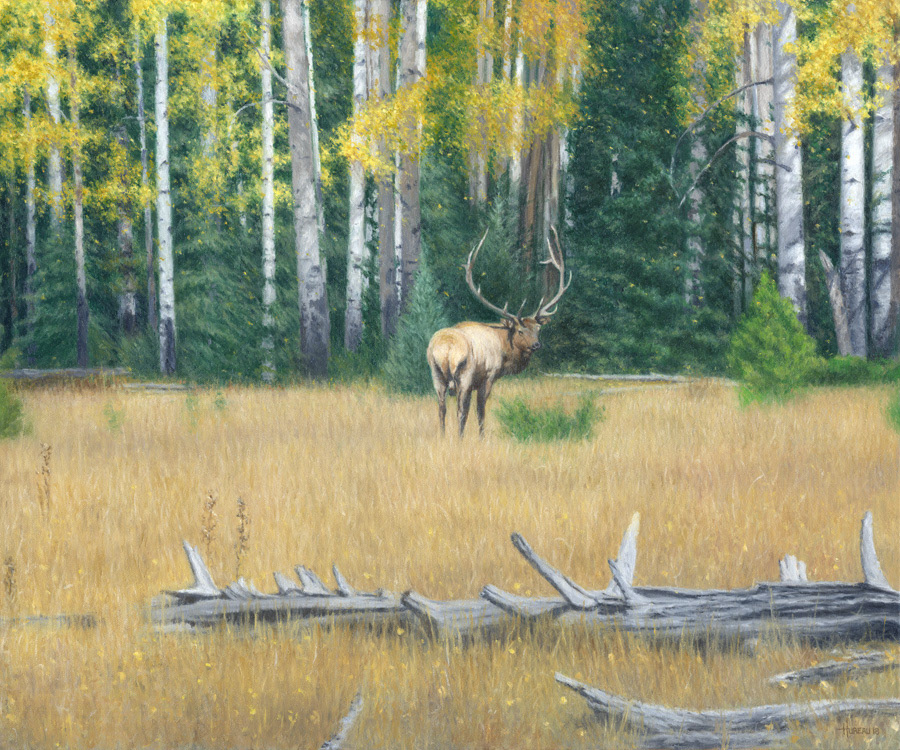 Keeping Watch • 20" x 24"