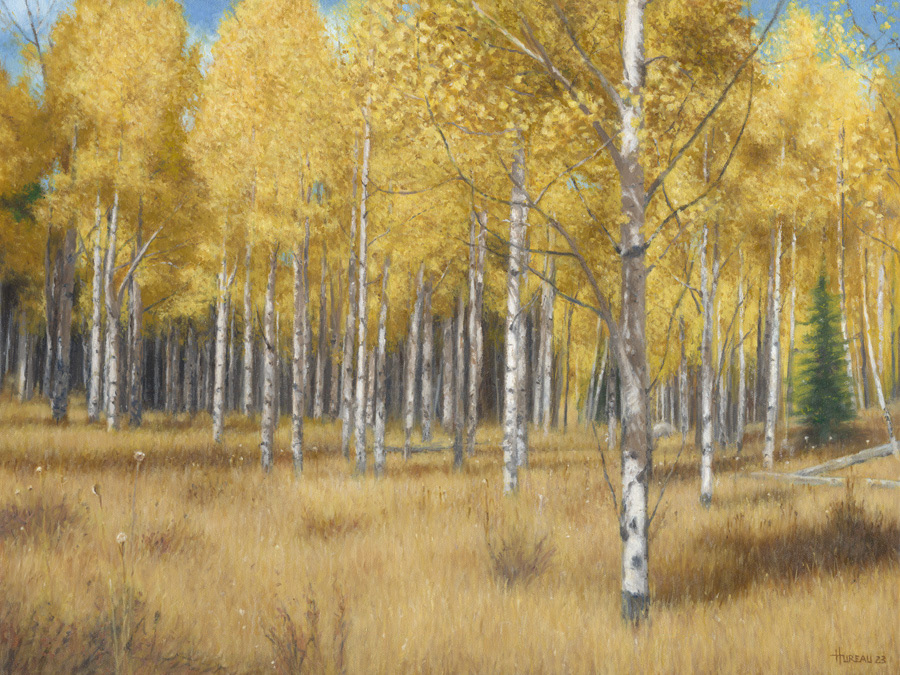 Aspen Grove • 18" x 24"