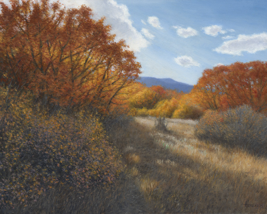 Bear Creek Scrub Oak • 16" x 20"