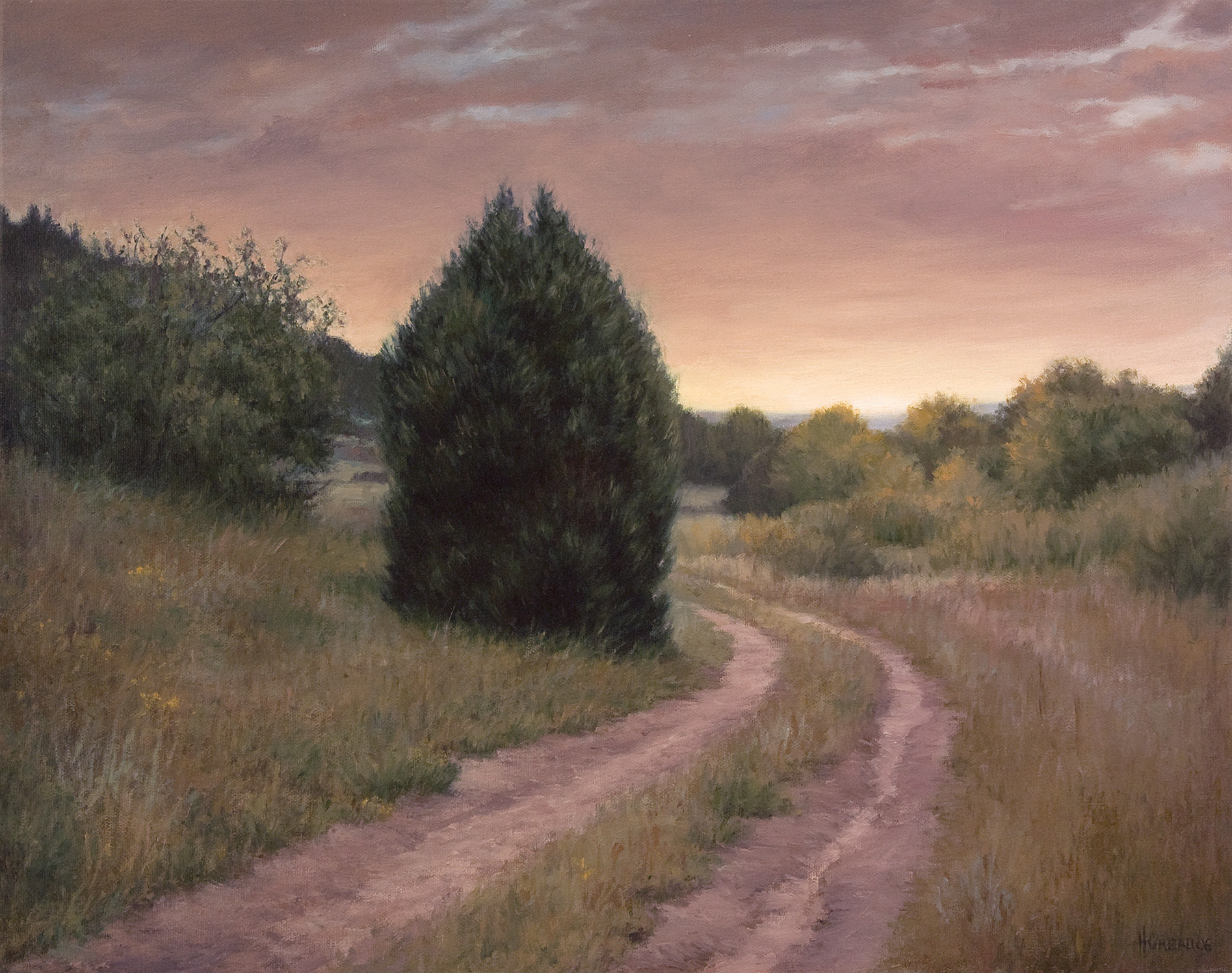 Juniper Sunrise • 16" x 20"