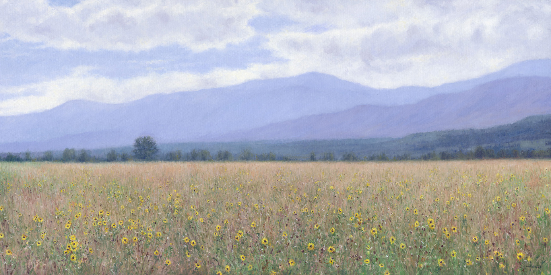 Sunflower Field (Sold) • 18" x 36"