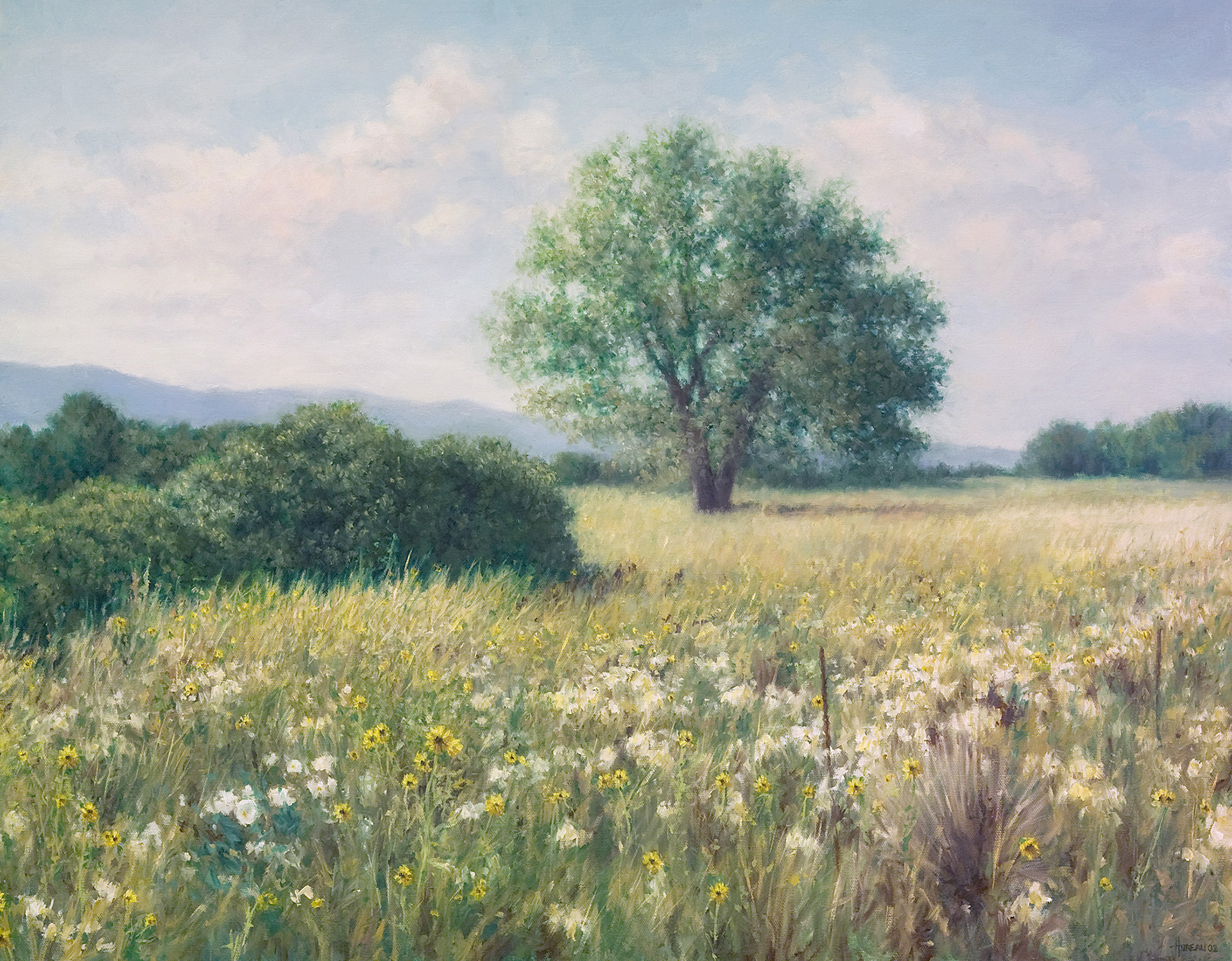 Late Afternoon Sunflowers • 22" x 28"