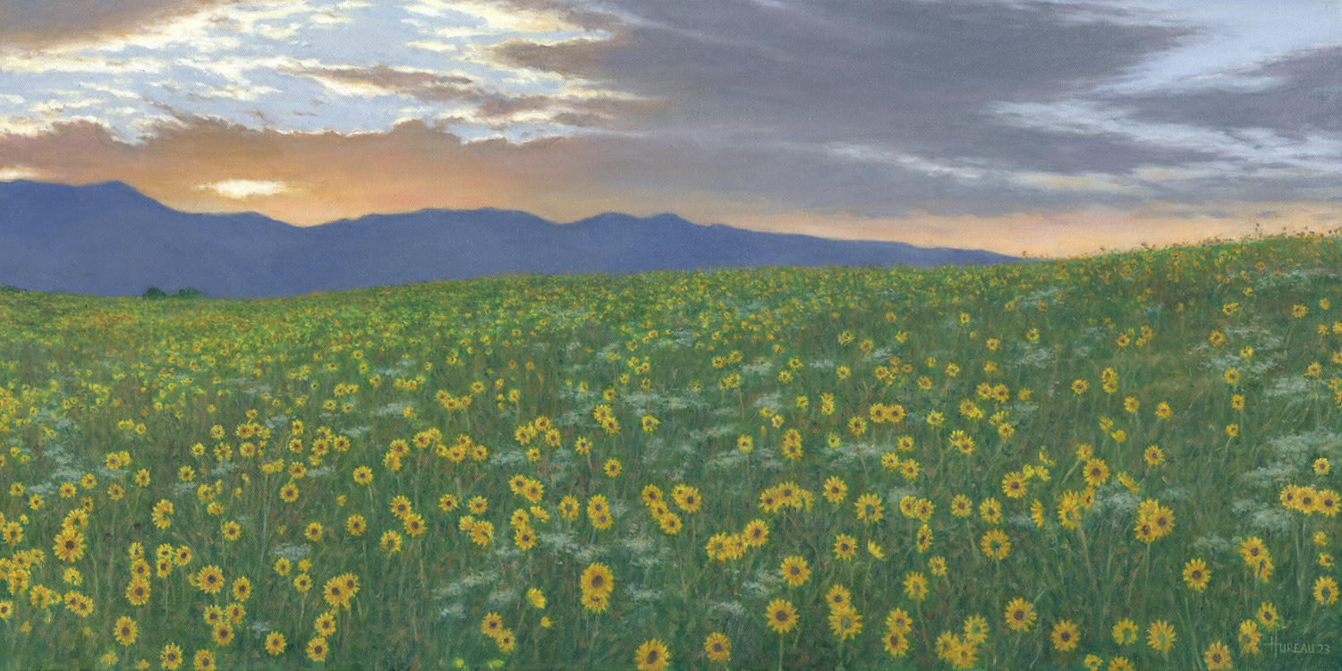 Sunflower Sunset • 18" x 36"