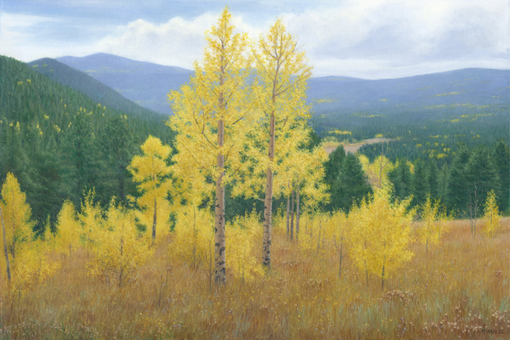 Aspen Rise • 20” x 30”