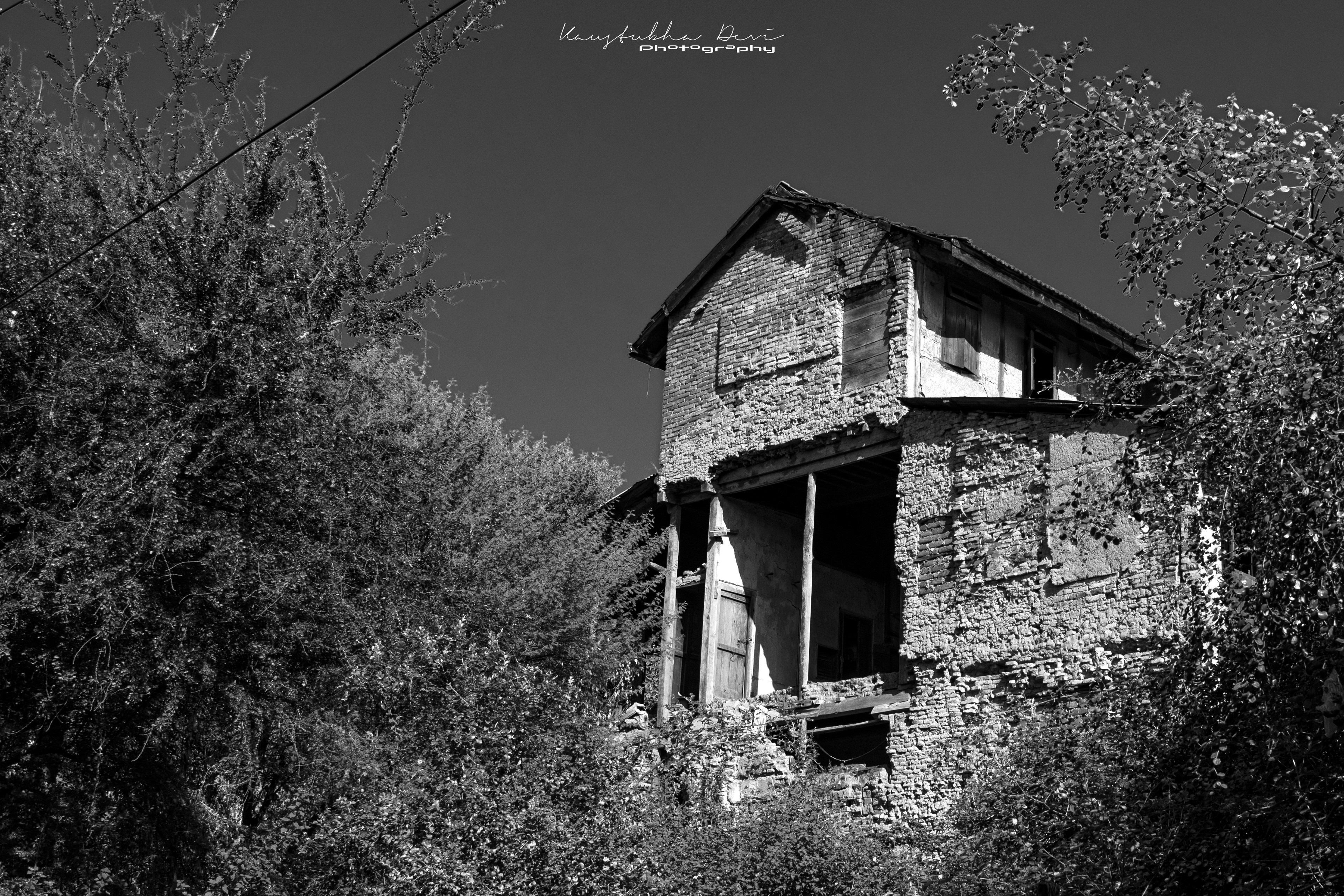 Fallen Yet Standing Tall 