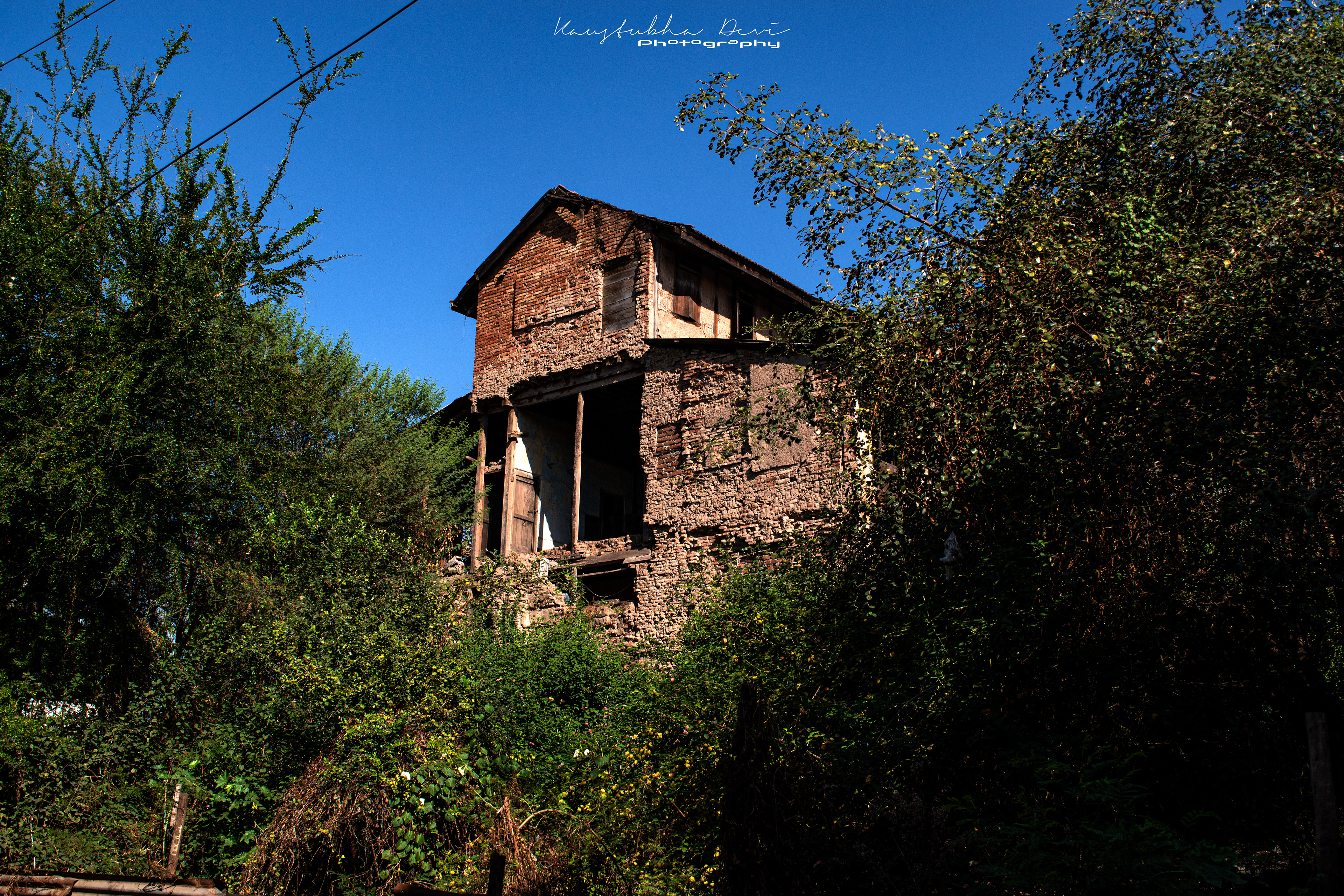 Fallen Yet Standing Tall 