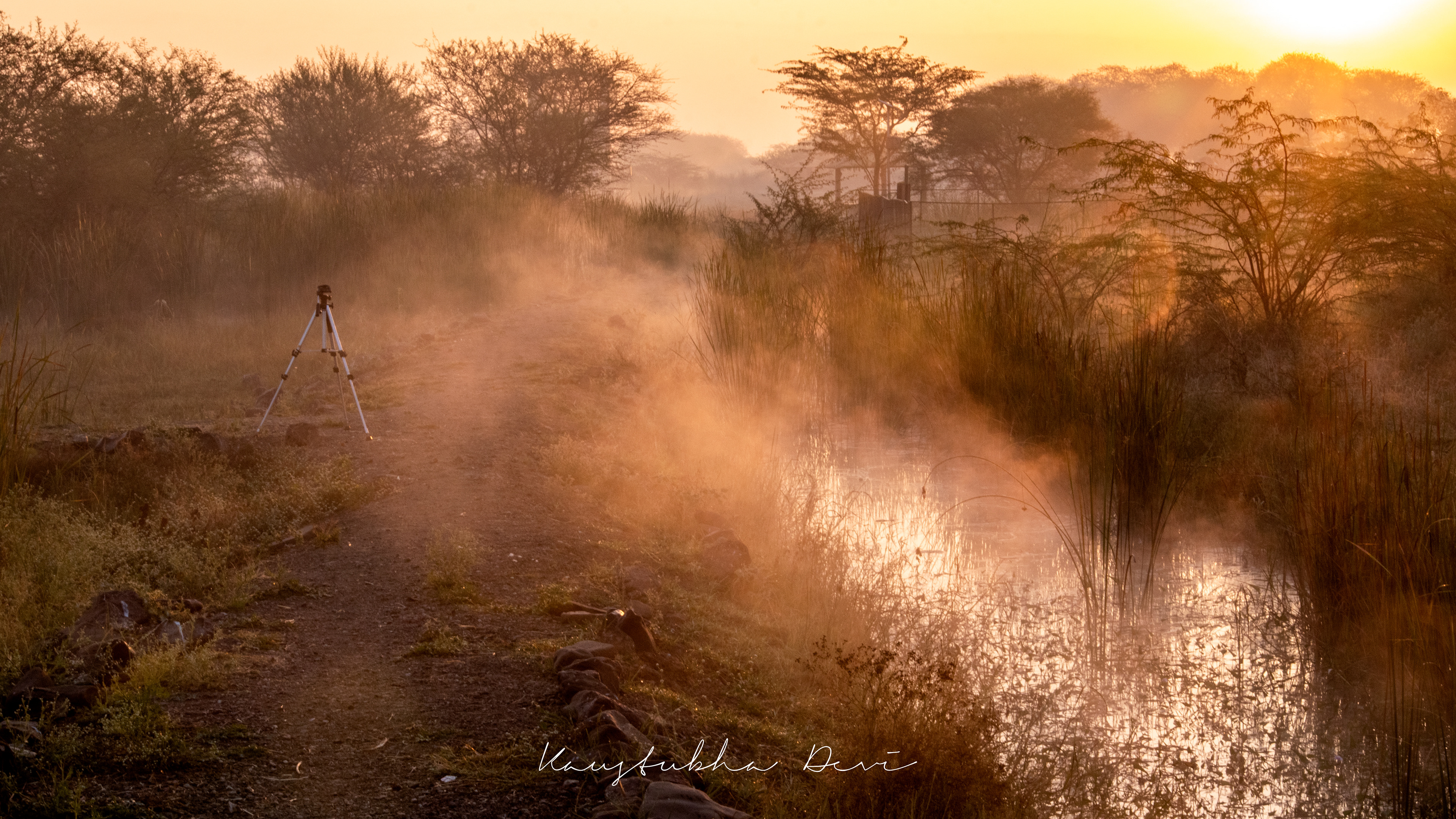 Nandurmadhaymeshwar Bird Sanctuary  
