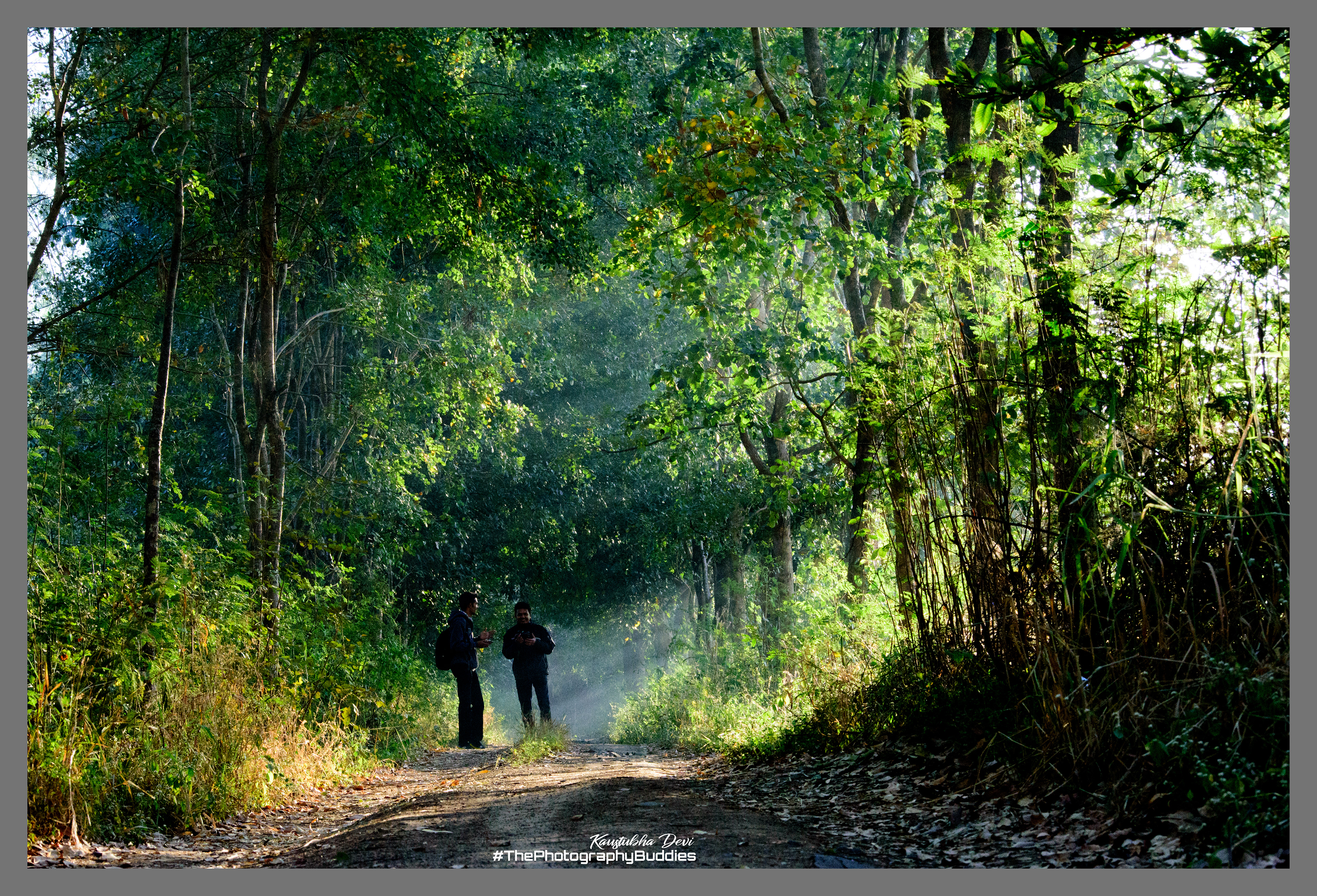 Butterfly Garden @ Nashik
