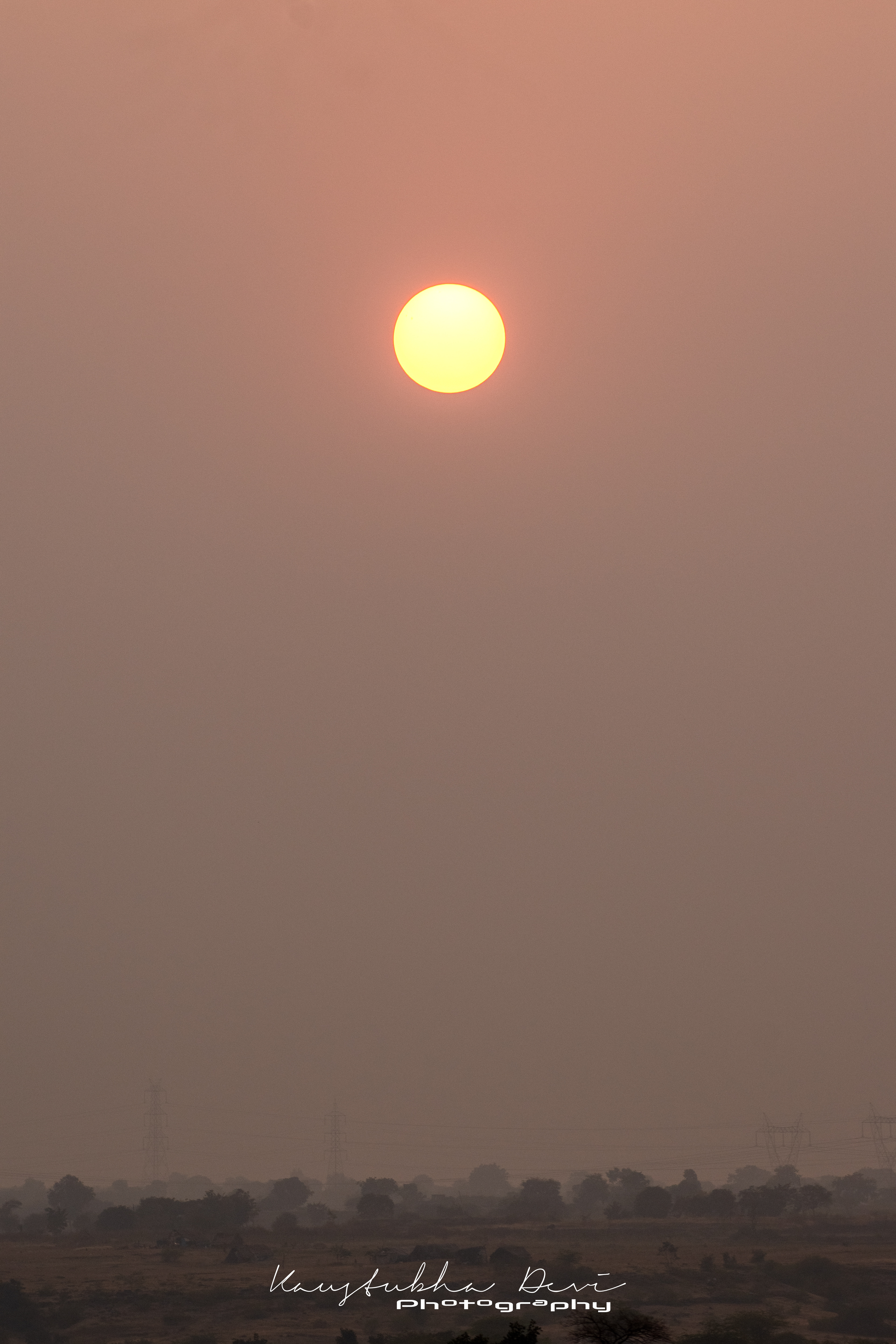 Early evening @ Mamdapur Reserve @ Yewola