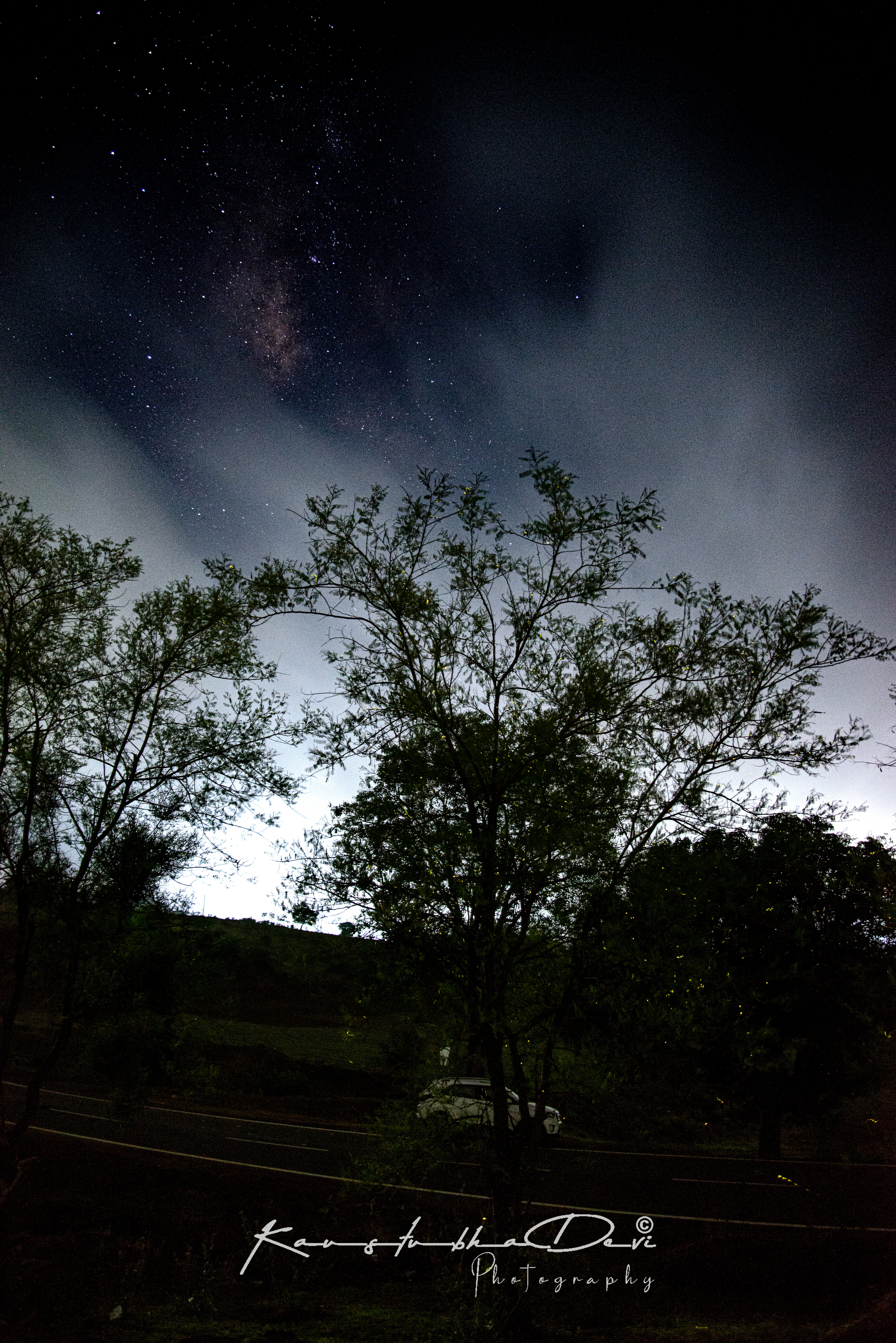 Beautiful Milky Way playing hide and seek with clouds and tree full of fire flies