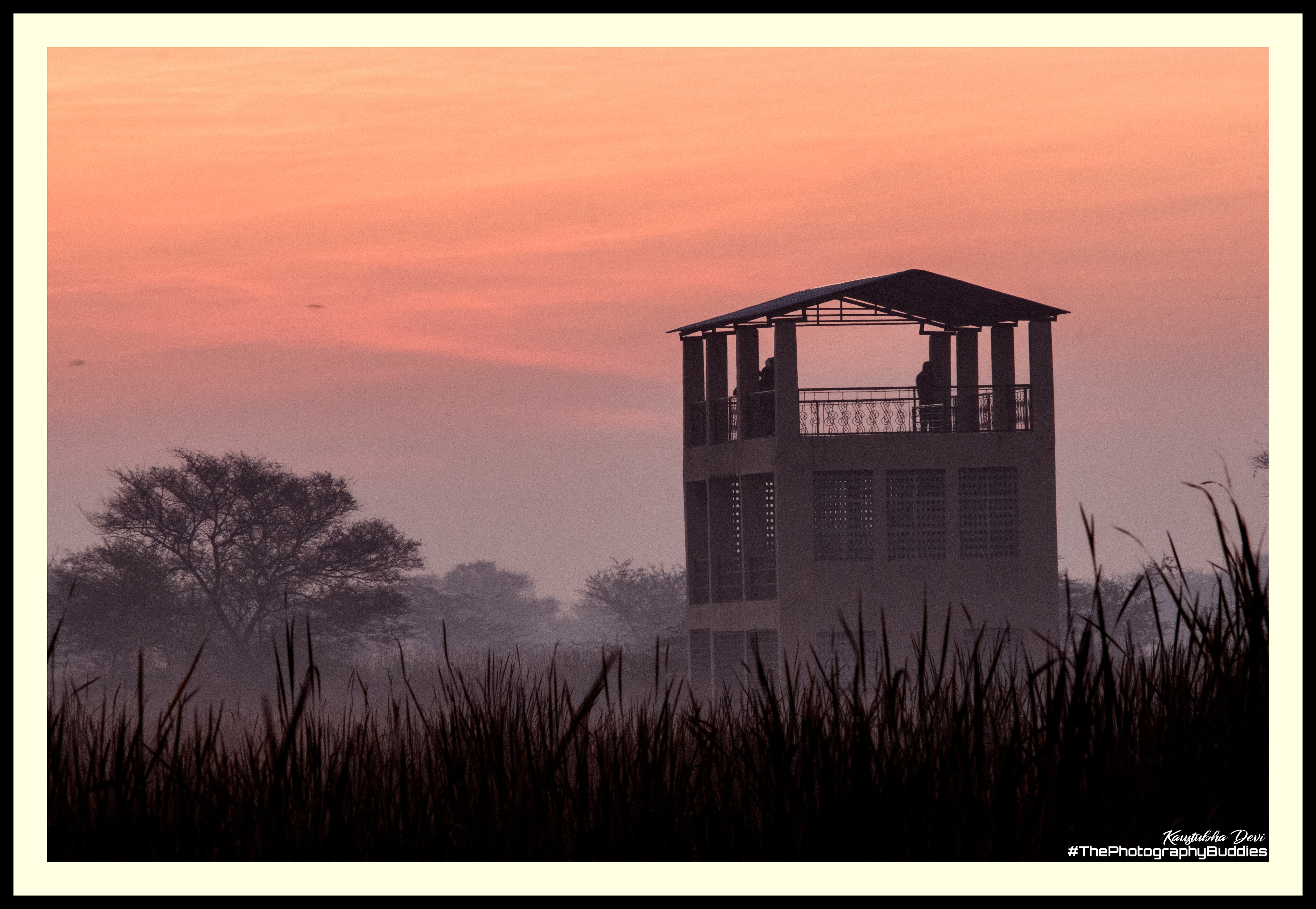 Nandurmadhaymeshwar Bird Sanctuary  