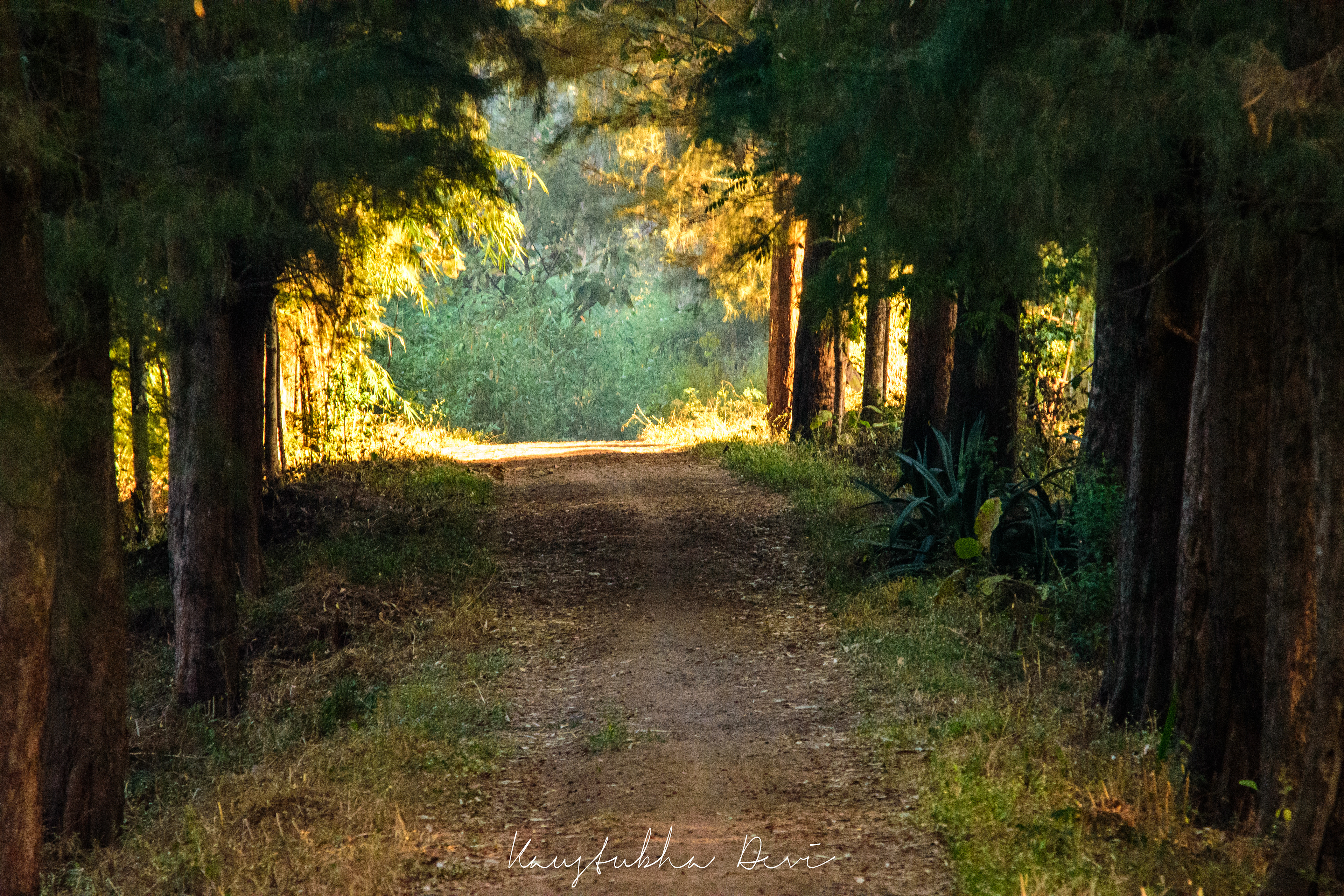 Butterfly Garden @ Nashik