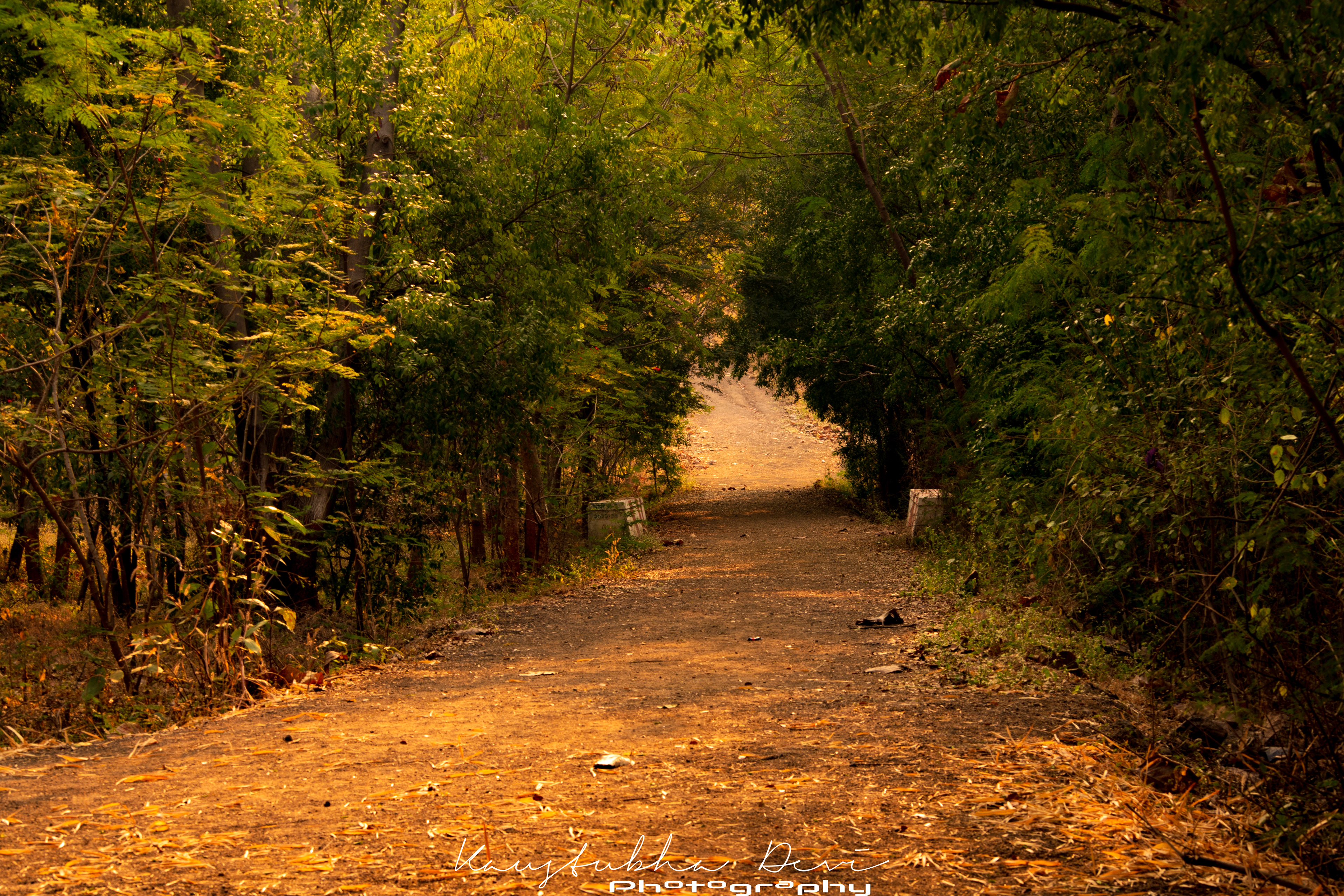 Butterfly Garden @ Nashik