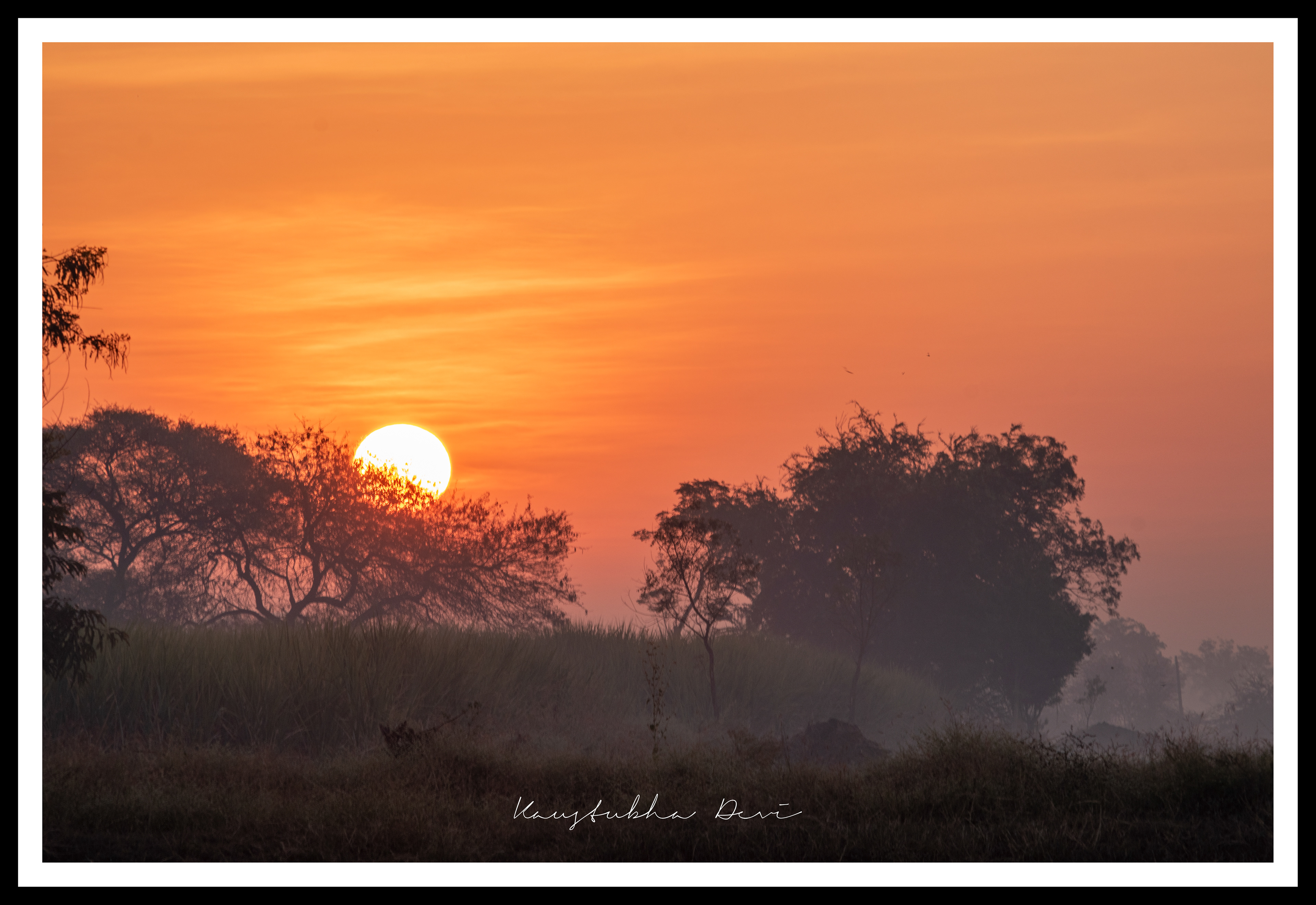 Sunrise @ Nandurmadhaymeshwar Bird Sanctuary  