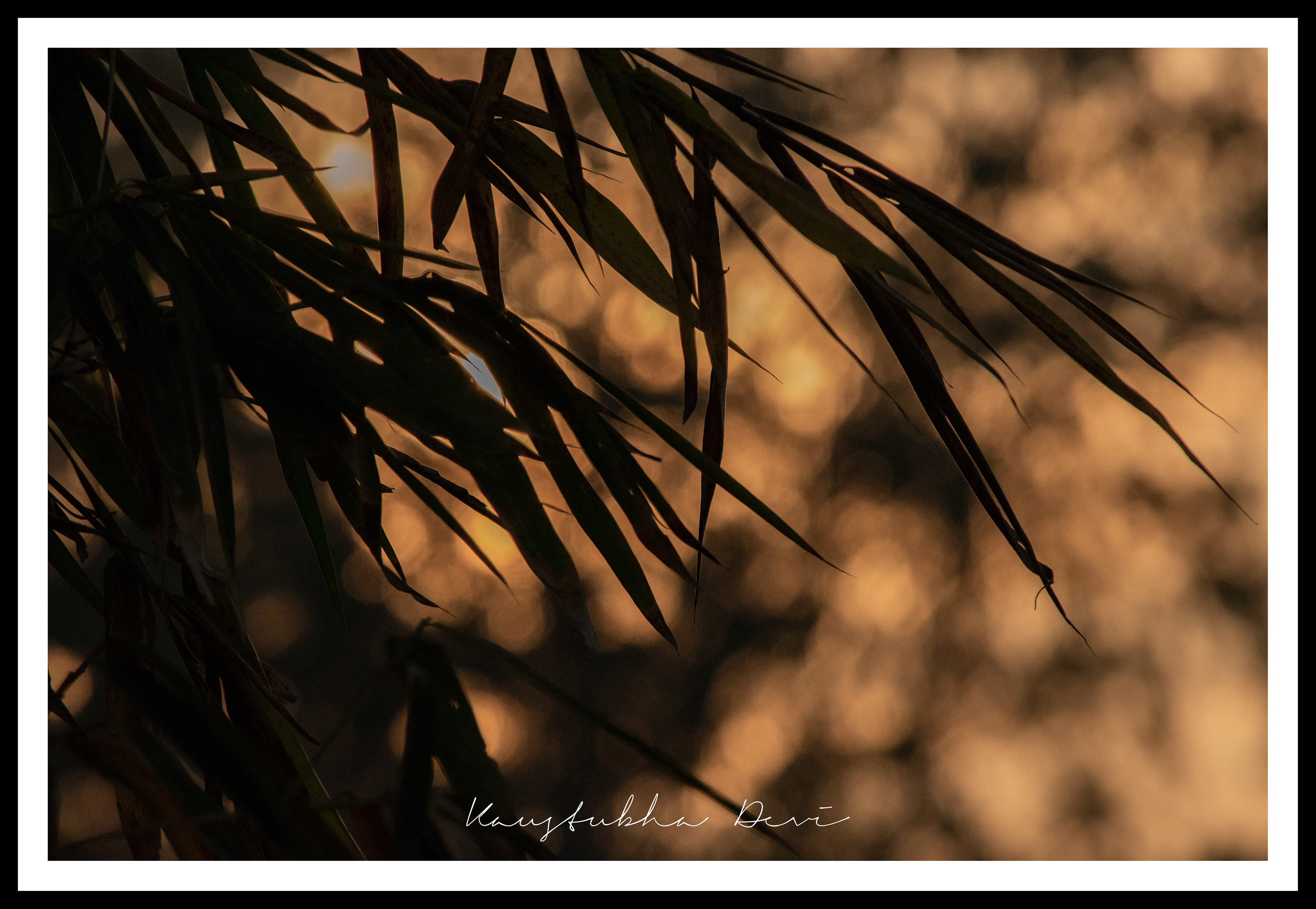 Butterfly Garden @ Nashik