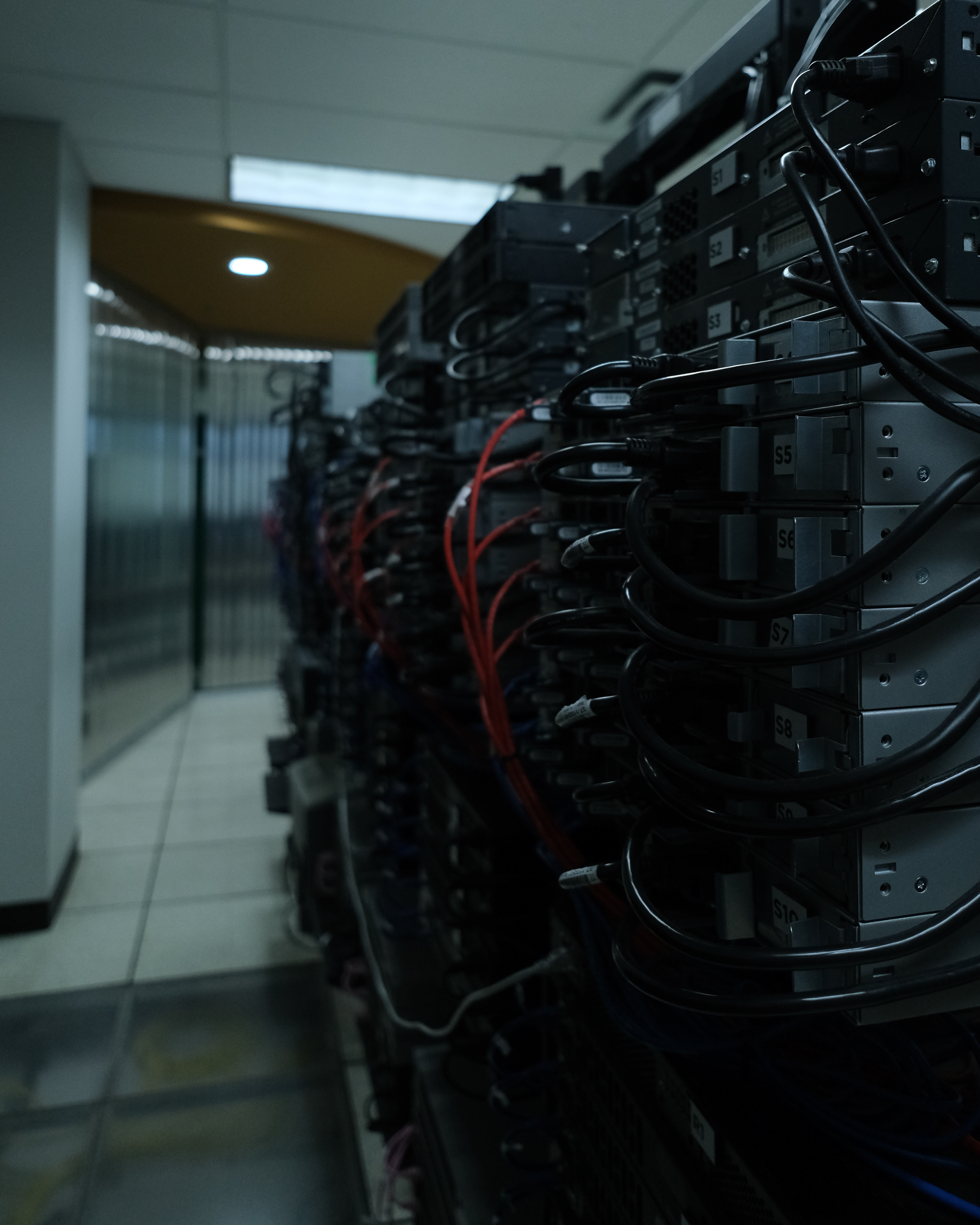 "The internet is a special tool, it transcends barriers"