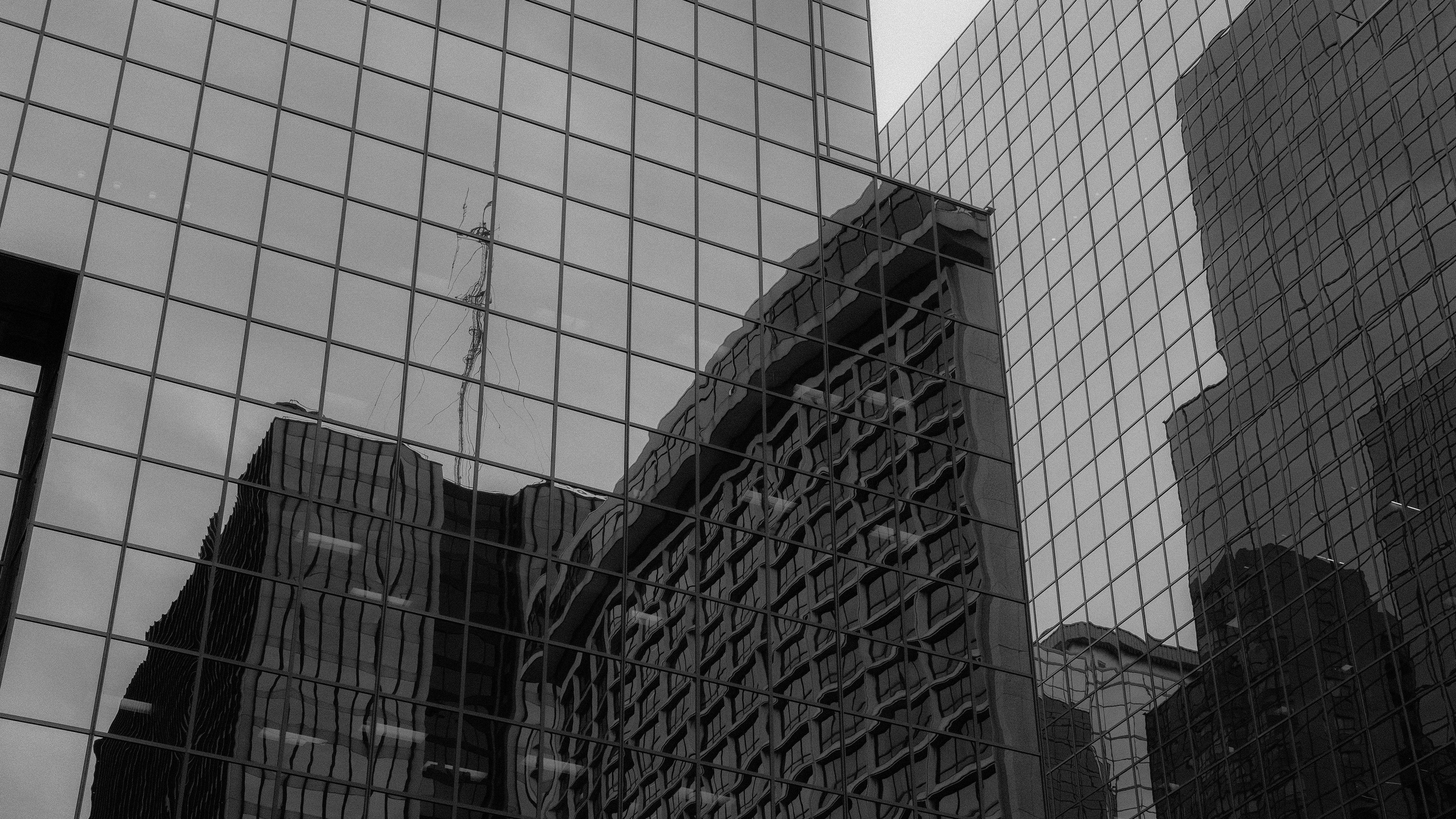 Reflections 4