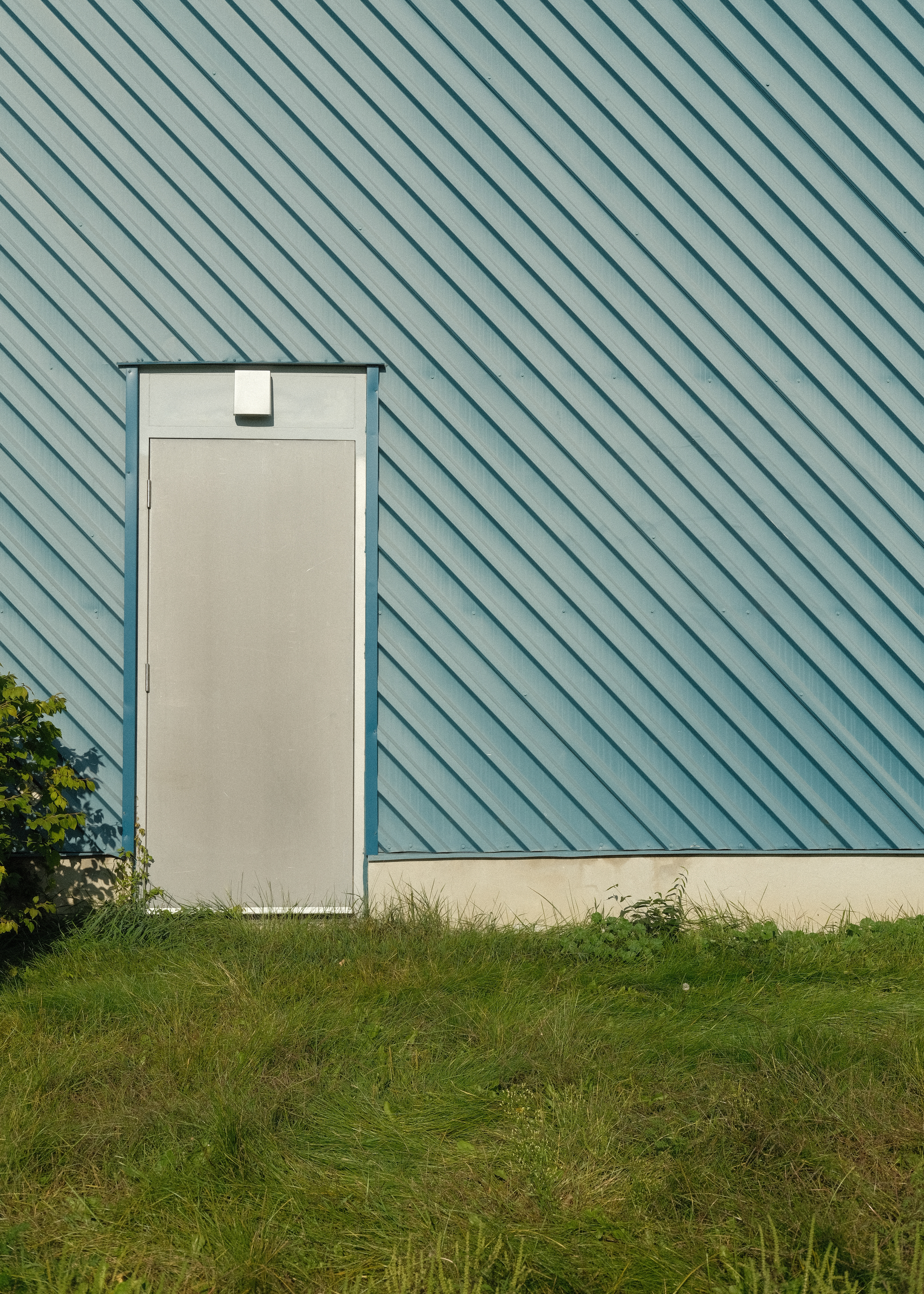 Backdoor