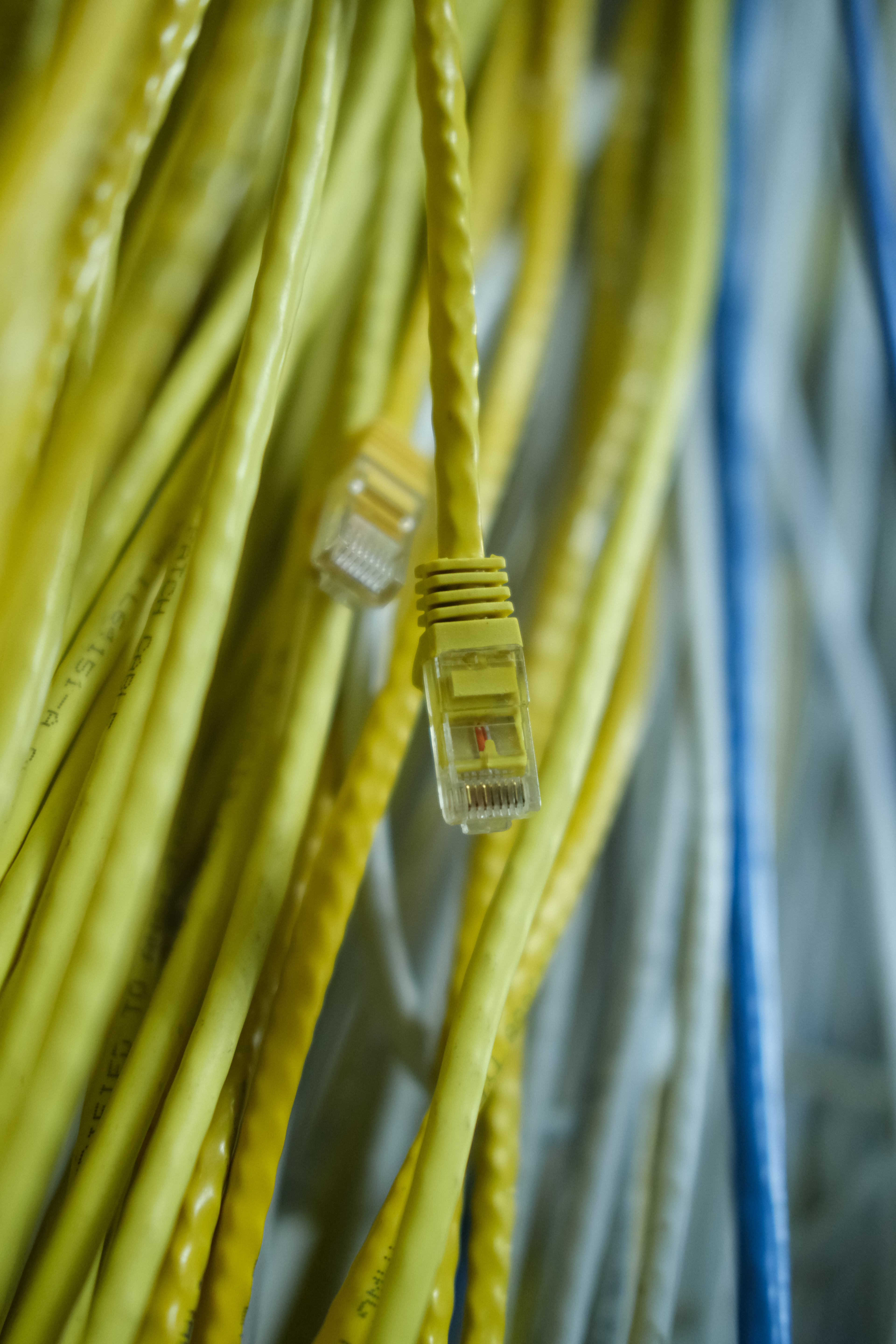 Network cables keep us connected