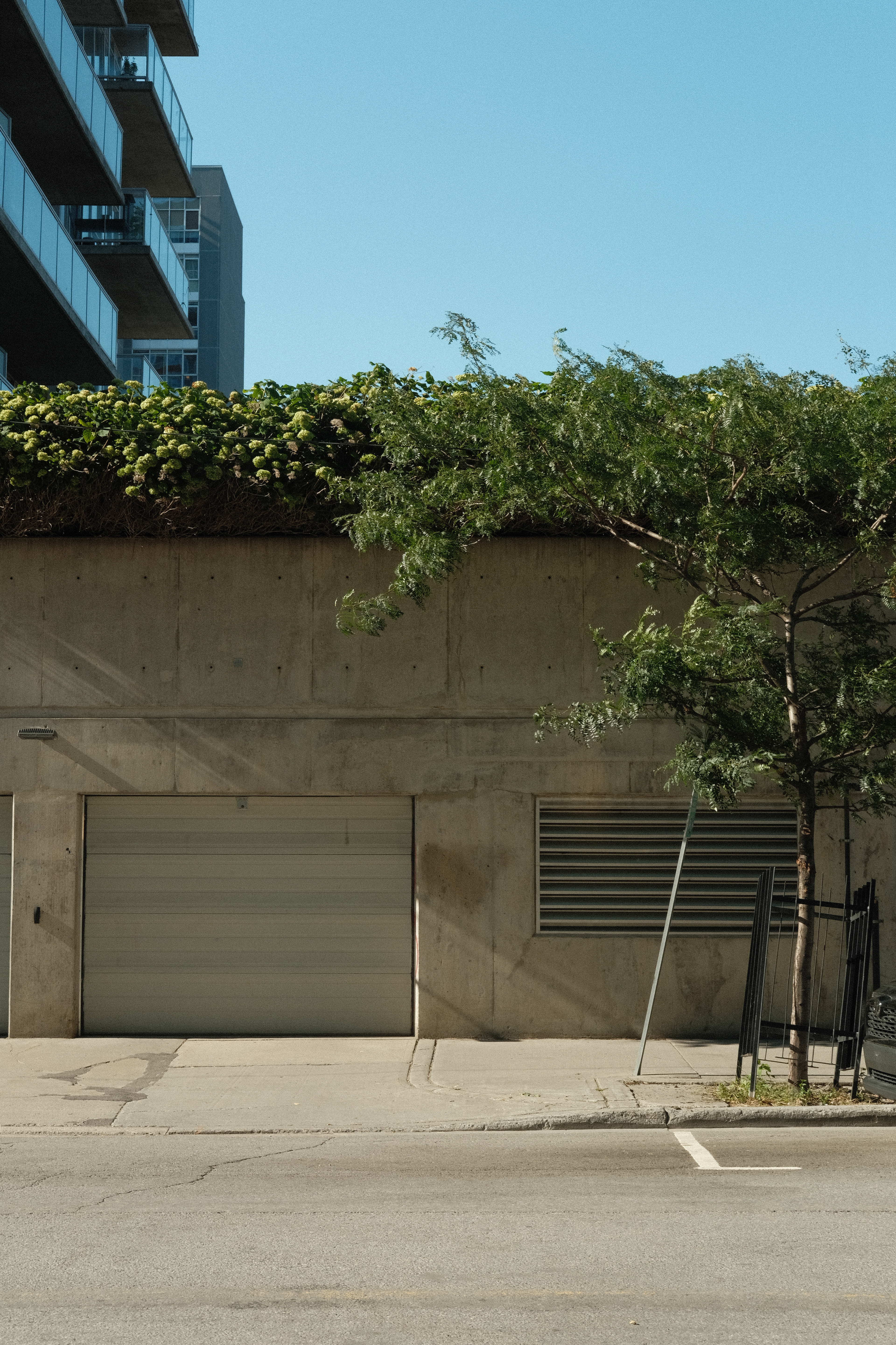 Green roof