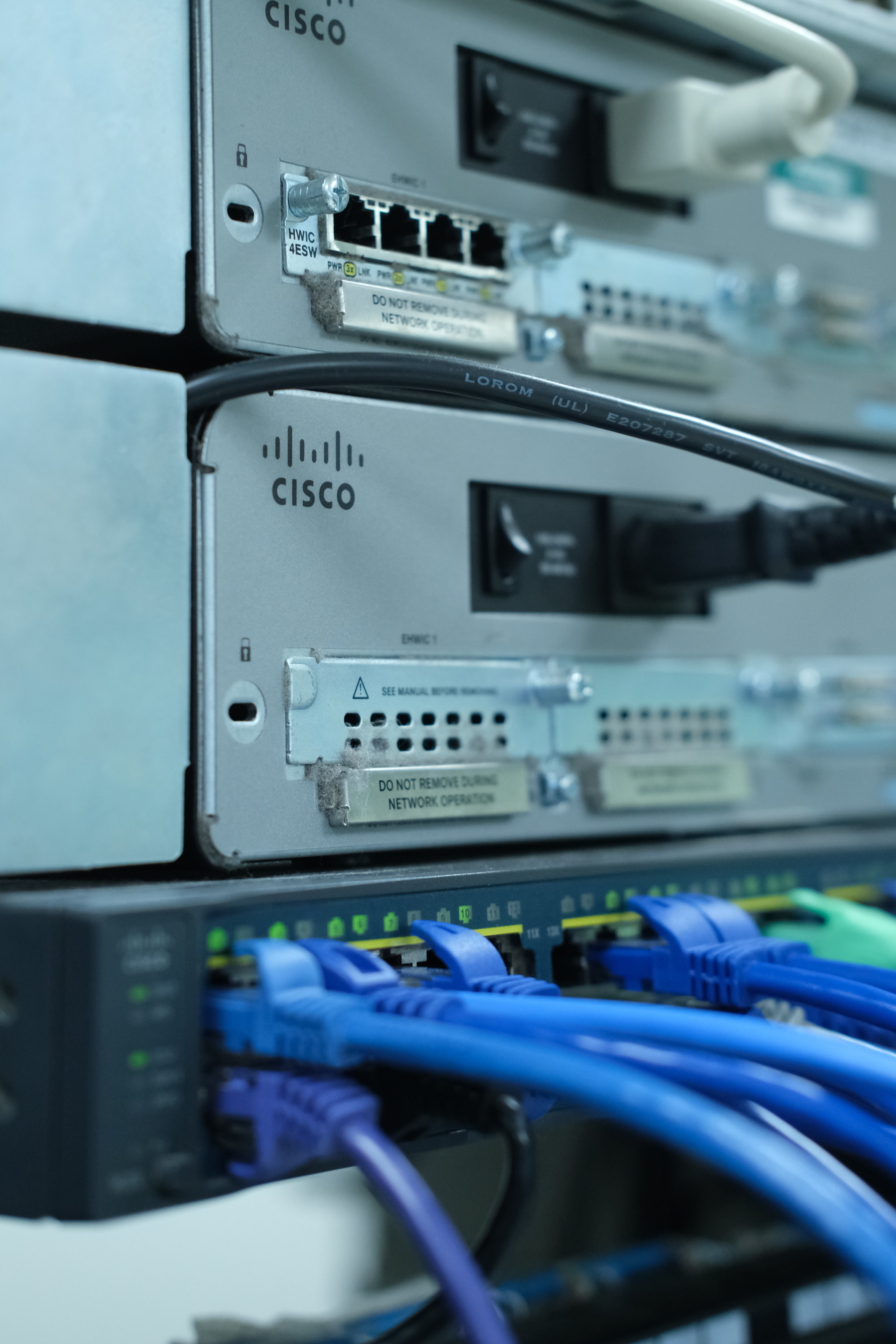 Network servers interlink the world