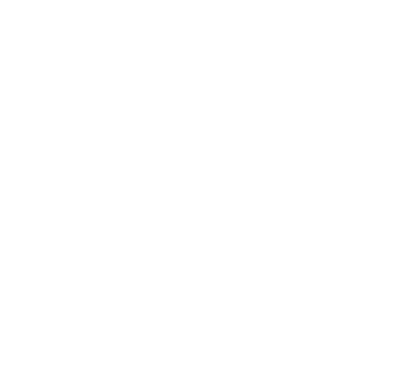 NEW SOLID