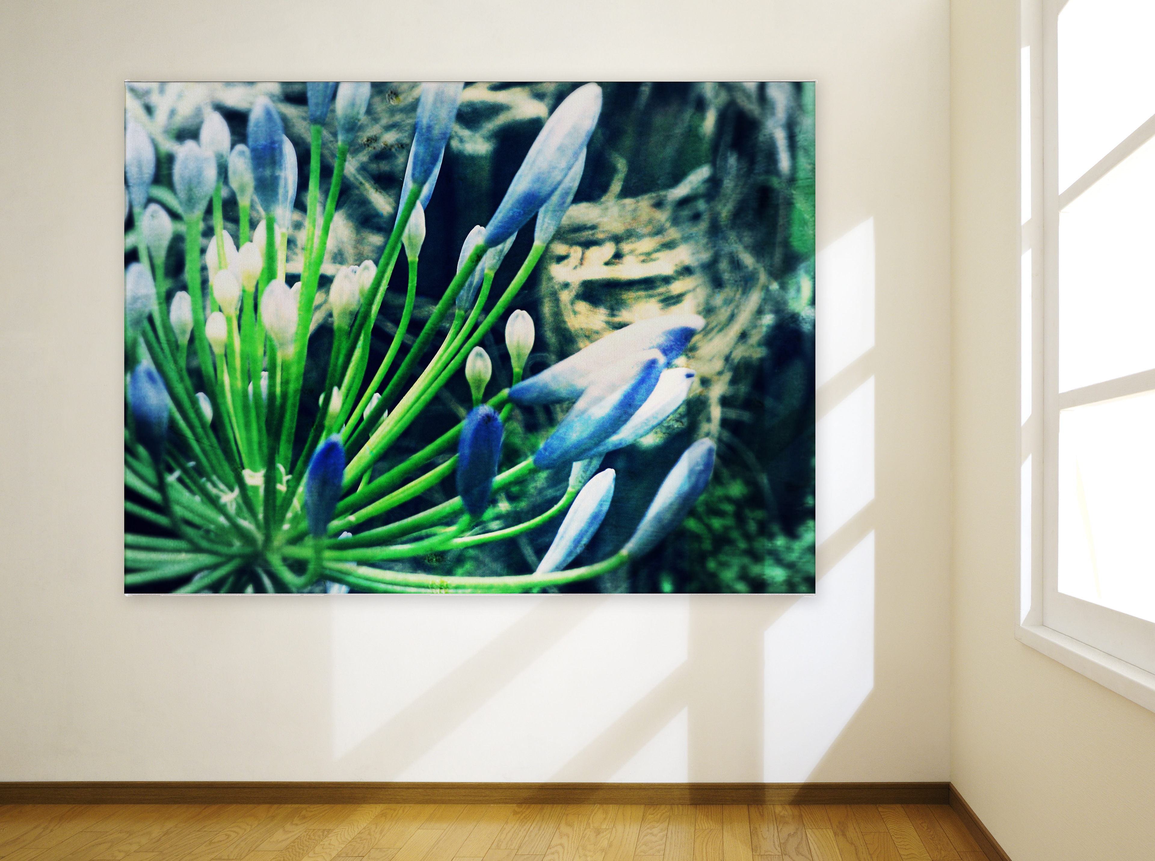 reaching for the sun