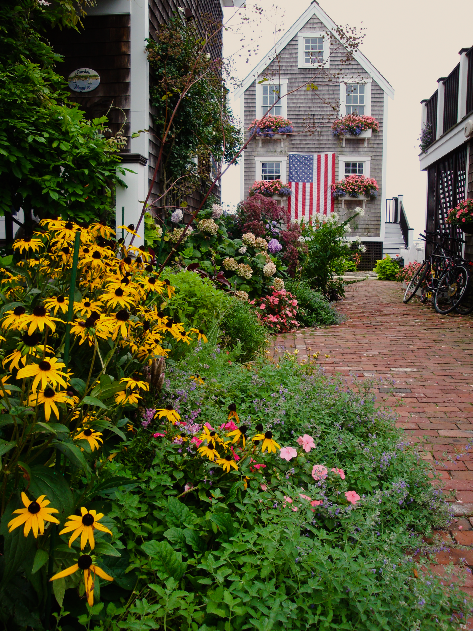 new england shoreline splendor