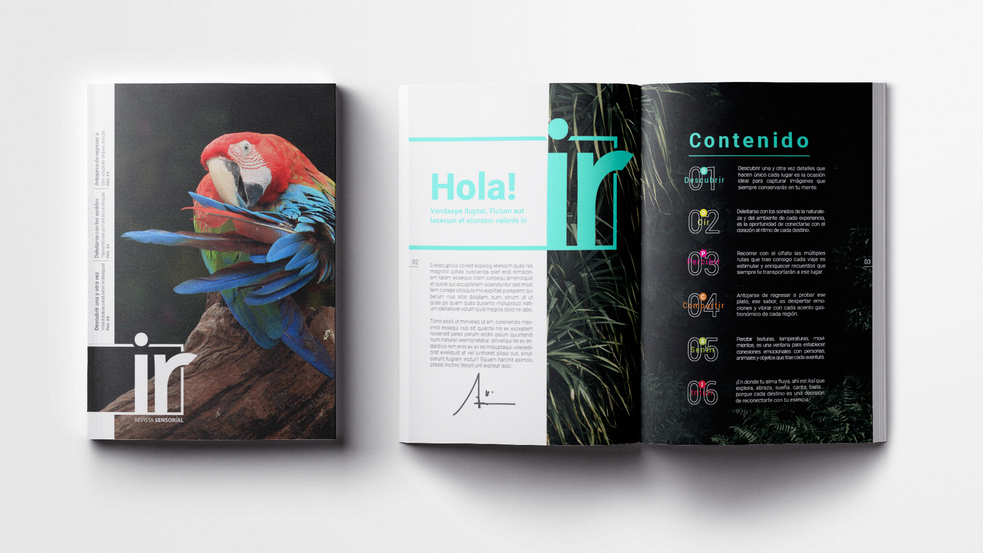 Travel Magazine development. El Colombiano
