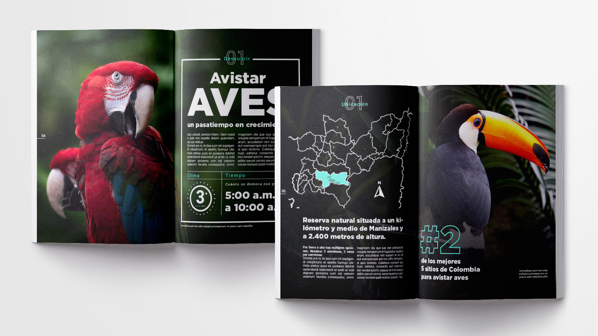 Travel Magazine development. El Colombiano