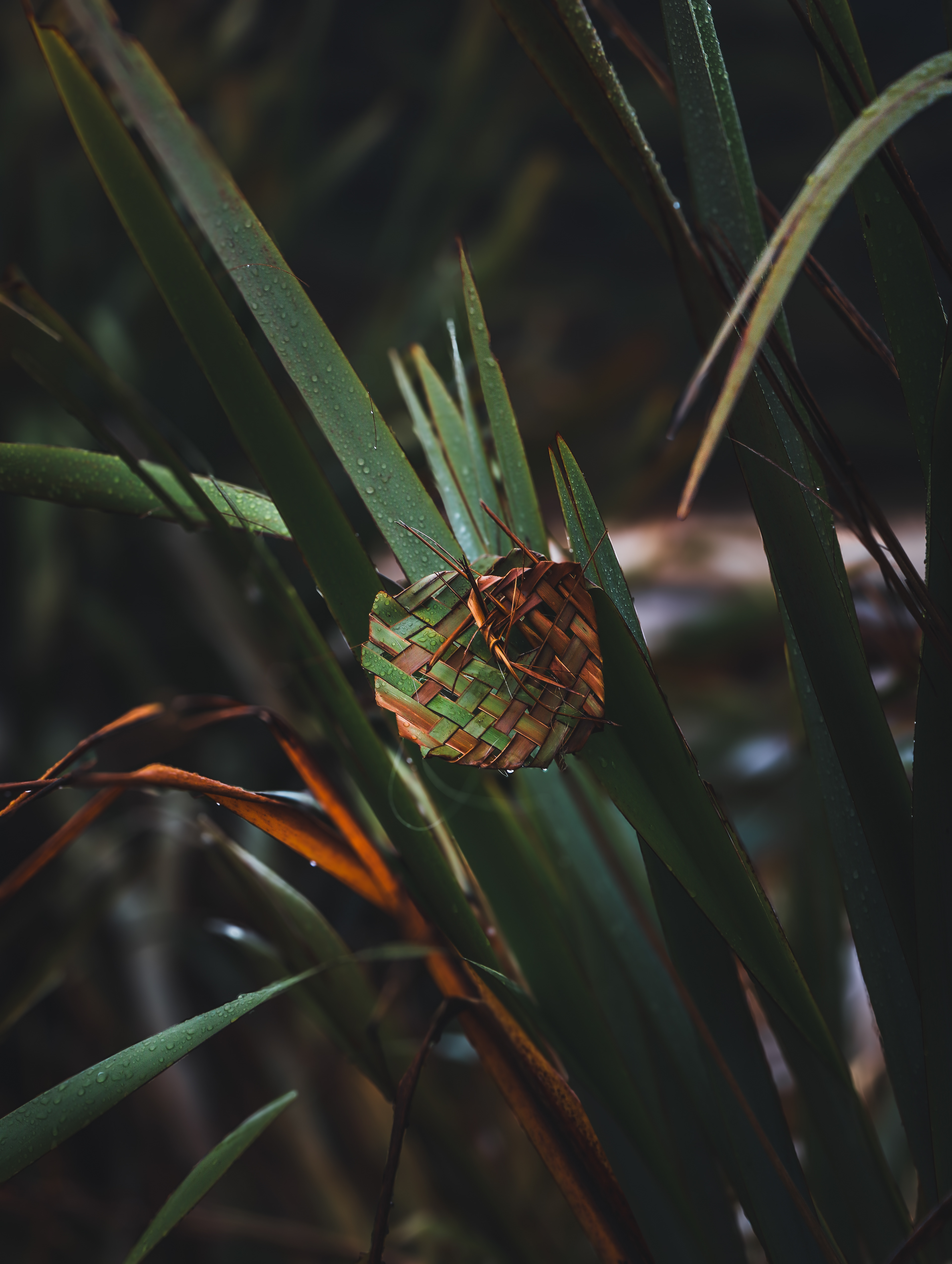 Flax Art, Marahau