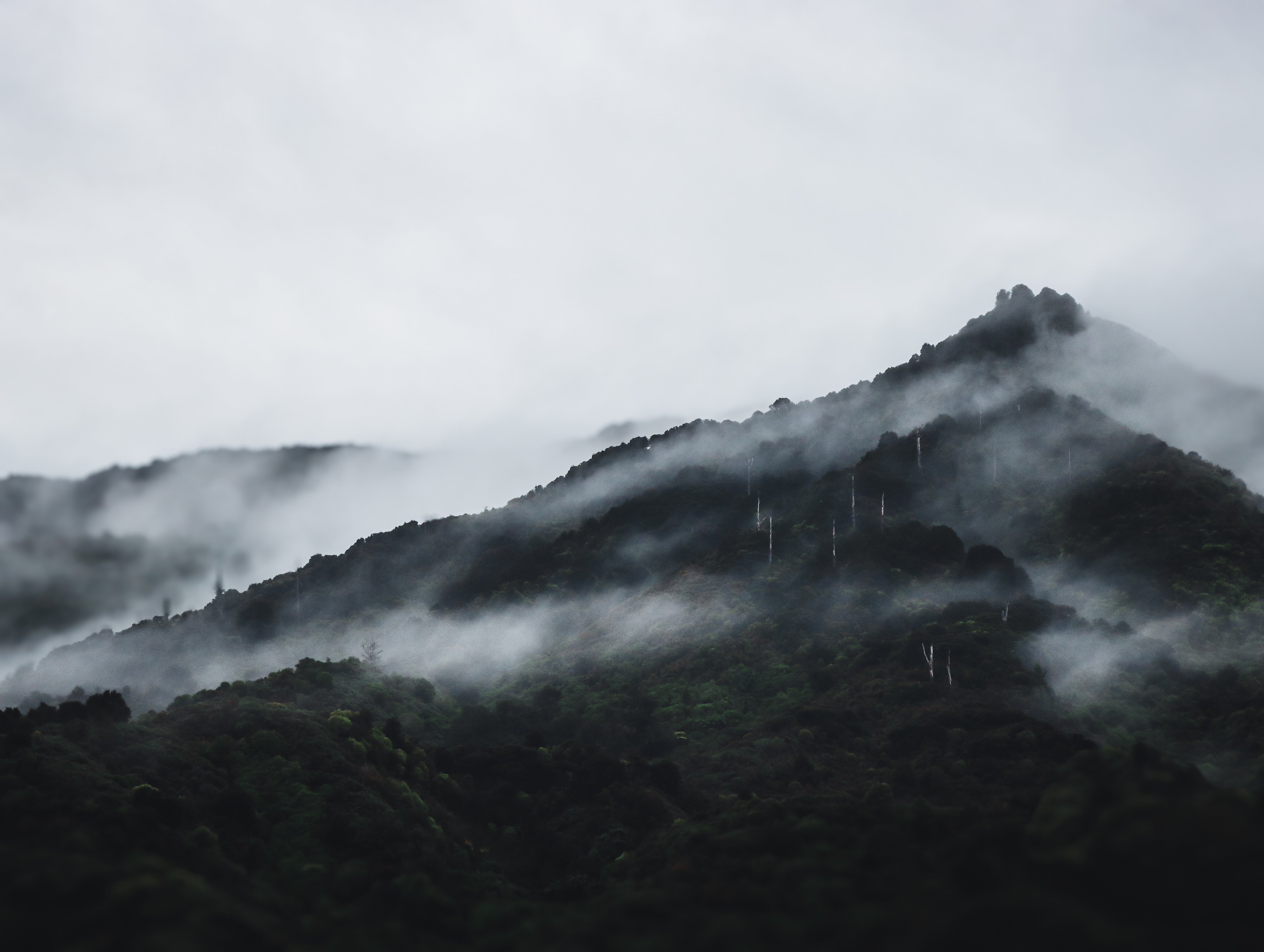 Low cloud in Marahau 1