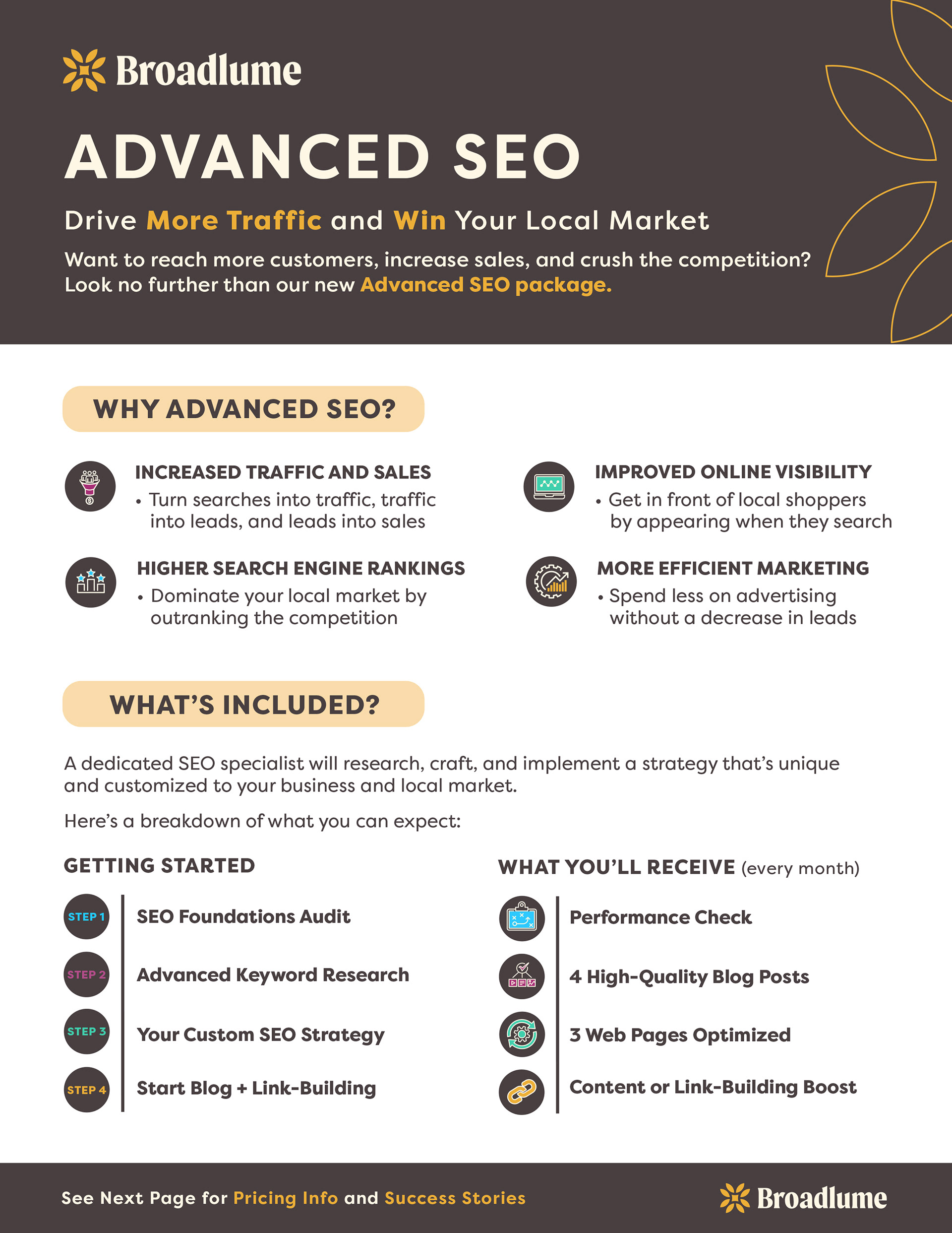Flyer informing regarding the offering of Advanced SEO for retailers